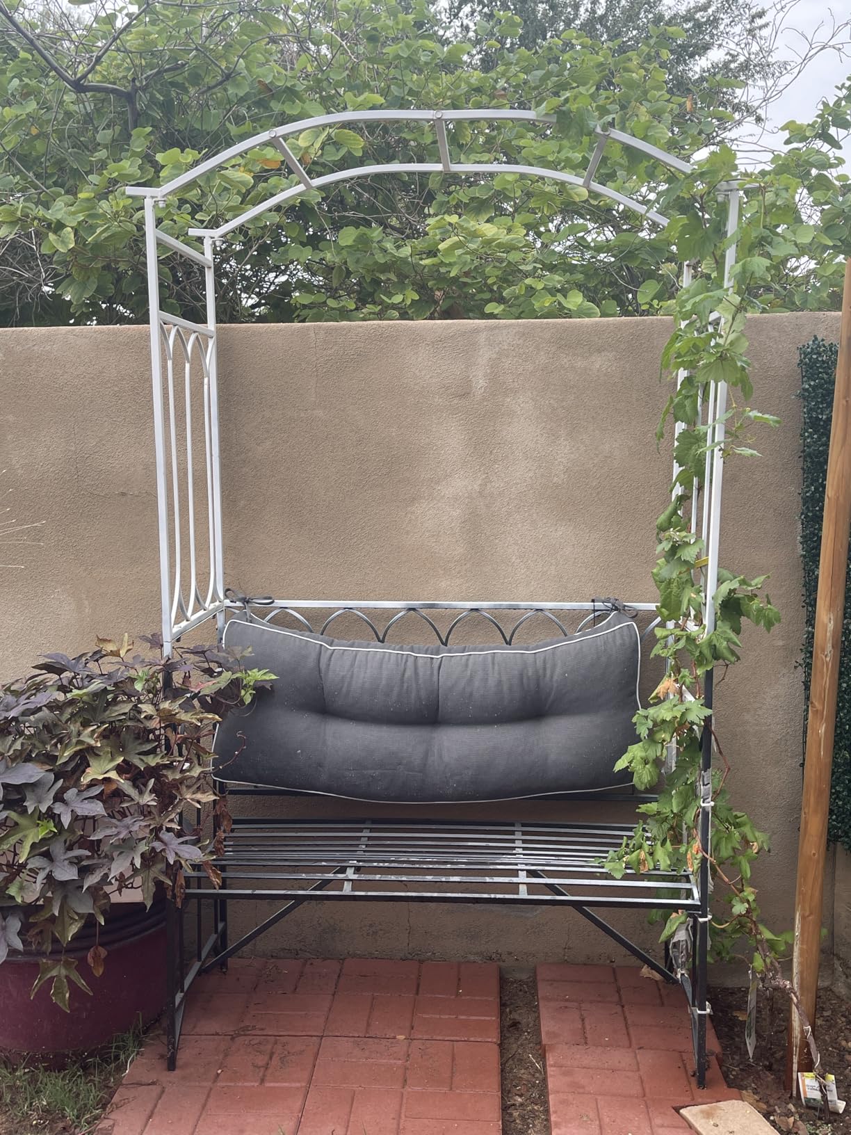 Outsunny Metal Trellis Arbor Arch for Climbing Plants with Garden Bench, Grow Grapes & Vines, Patio Decor & 2-Person Outdoor Steel Decorative Seating, 484 lbs. Weight Capacity, Black customer photo 1