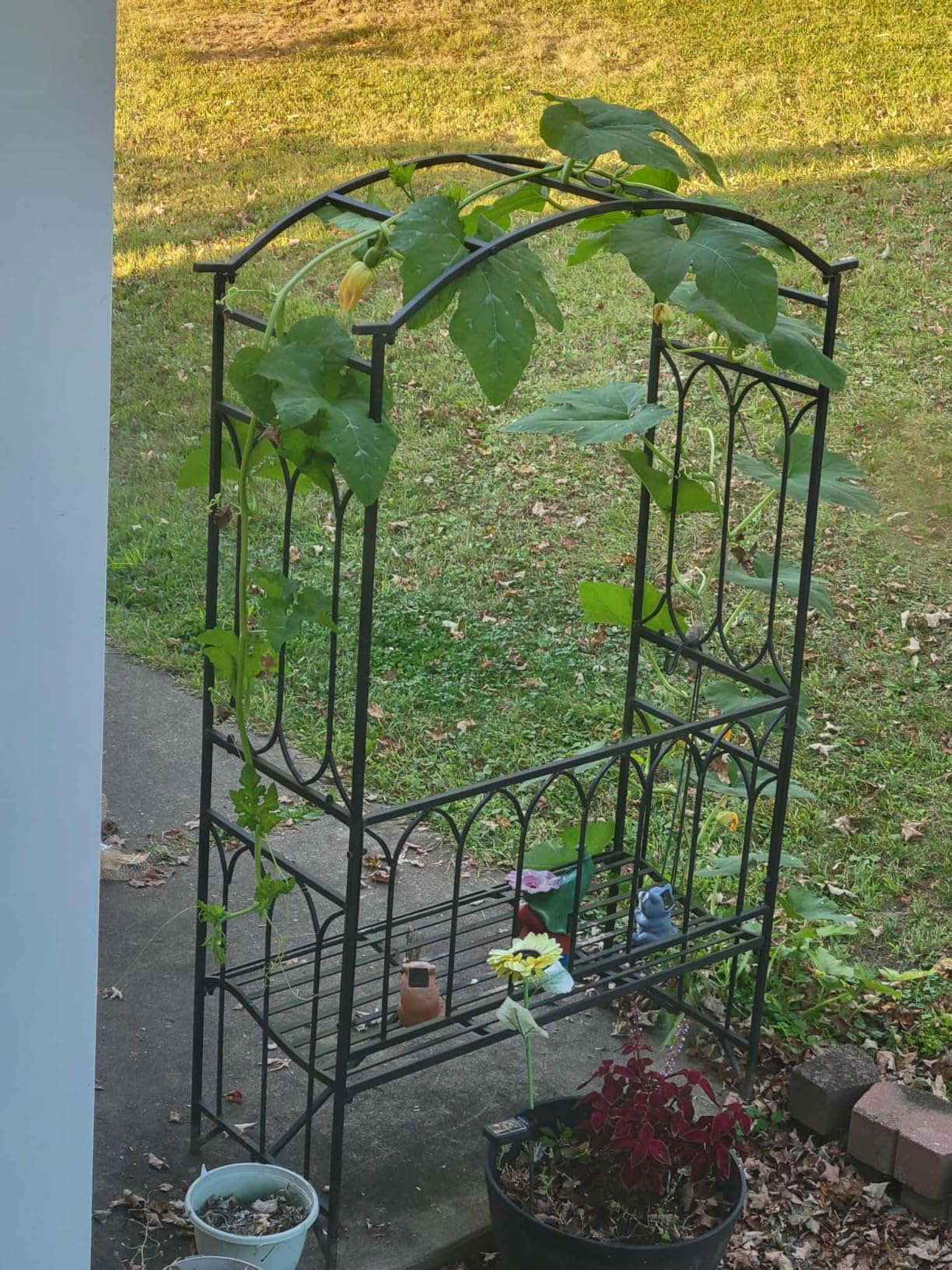 Outsunny Metal Trellis Arbor Arch for Climbing Plants with Garden Bench, Grow Grapes & Vines, Patio Decor & 2-Person Outdoor Steel Decorative Seating, 484 lbs. Weight Capacity, Black customer photo 2