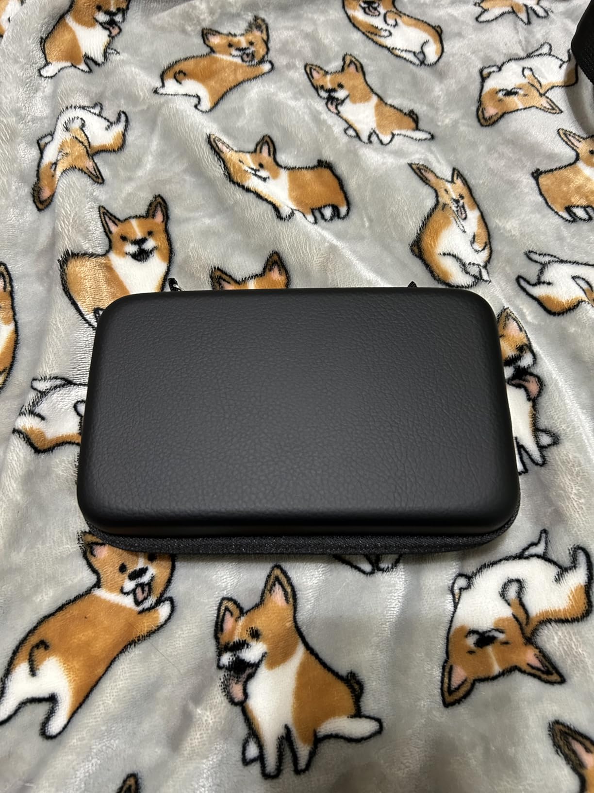 sisma 64 DS 3DS Switch Game Case Compatible with Nintendo Game Cartridges, Cards Holder Organizer Home & Travel Safekeeping Storage Case Carrying Bag customer photo 1