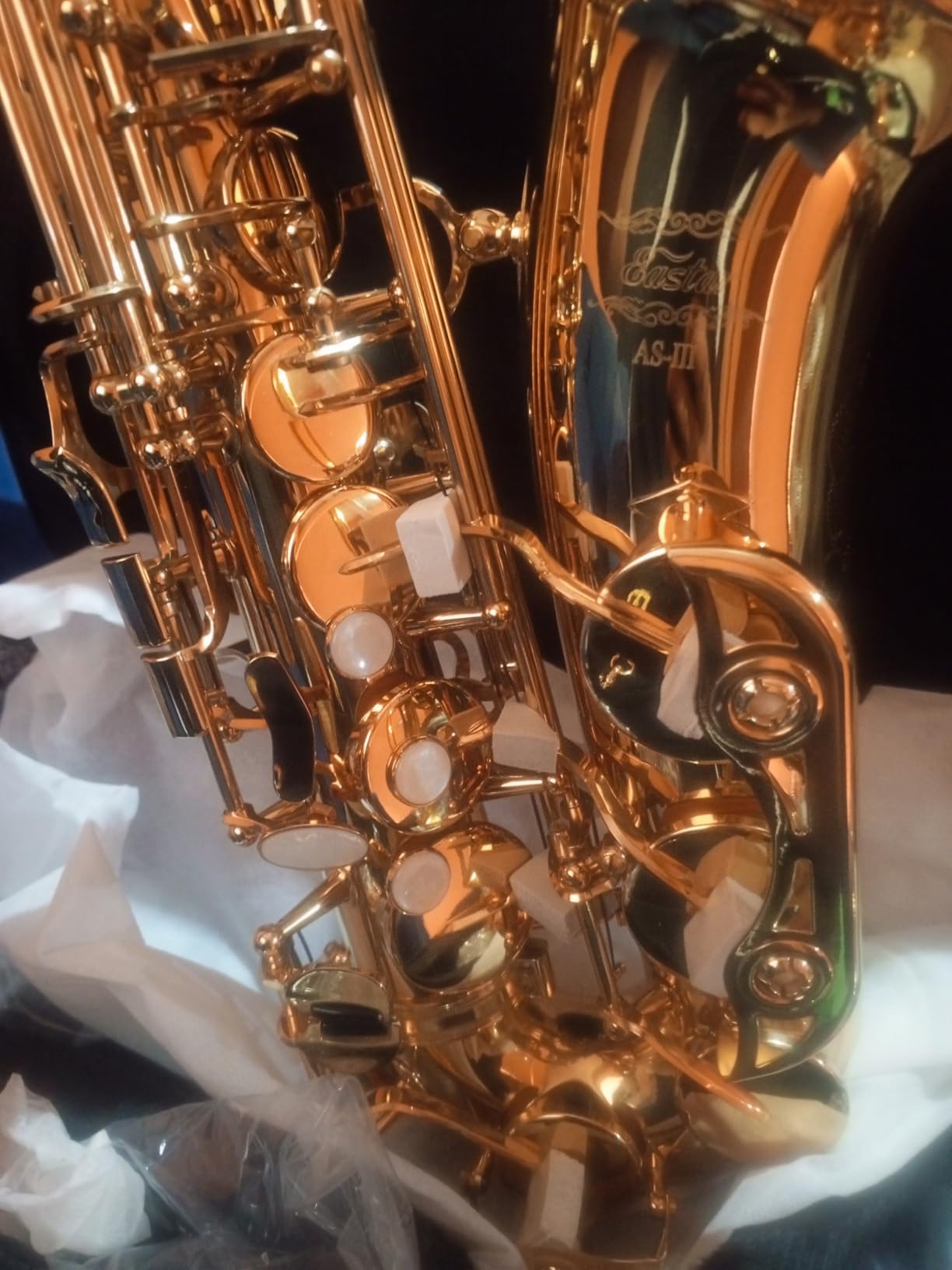 Eastar Tenor Saxophone, B Flat Golden Lacquer Beginner Kit with Cleaning Cloth, Case, Mouthpiece, Neck Strap, Reeds, TS-Ⅱ customer photo 1