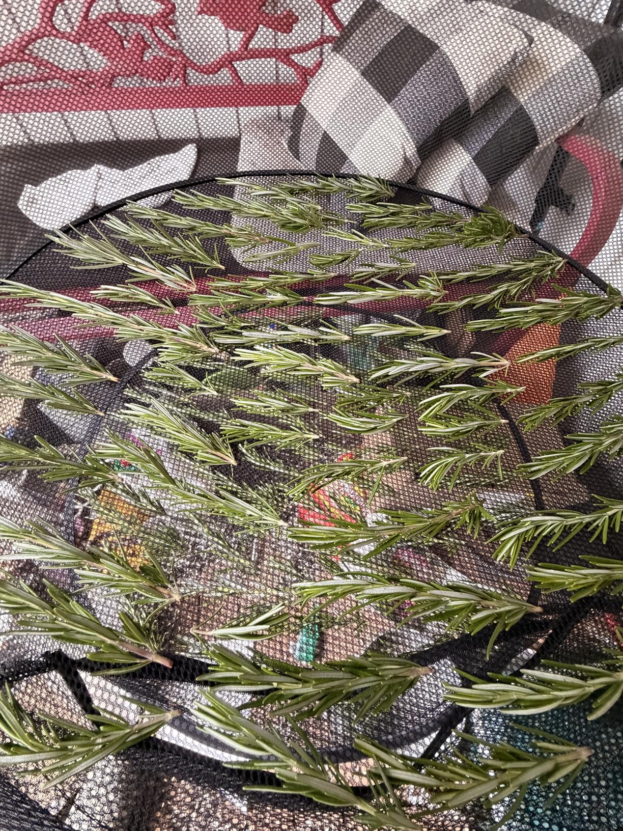 Herb Drying Rack-2ft Diameter 8 Layer Folding Mesh Hanging Basket Dryer Net with Zippers for Seeds Flowers Buds Plants Garden Outdoor Bumper Harvest(D24xH31 inch) customer photo 2