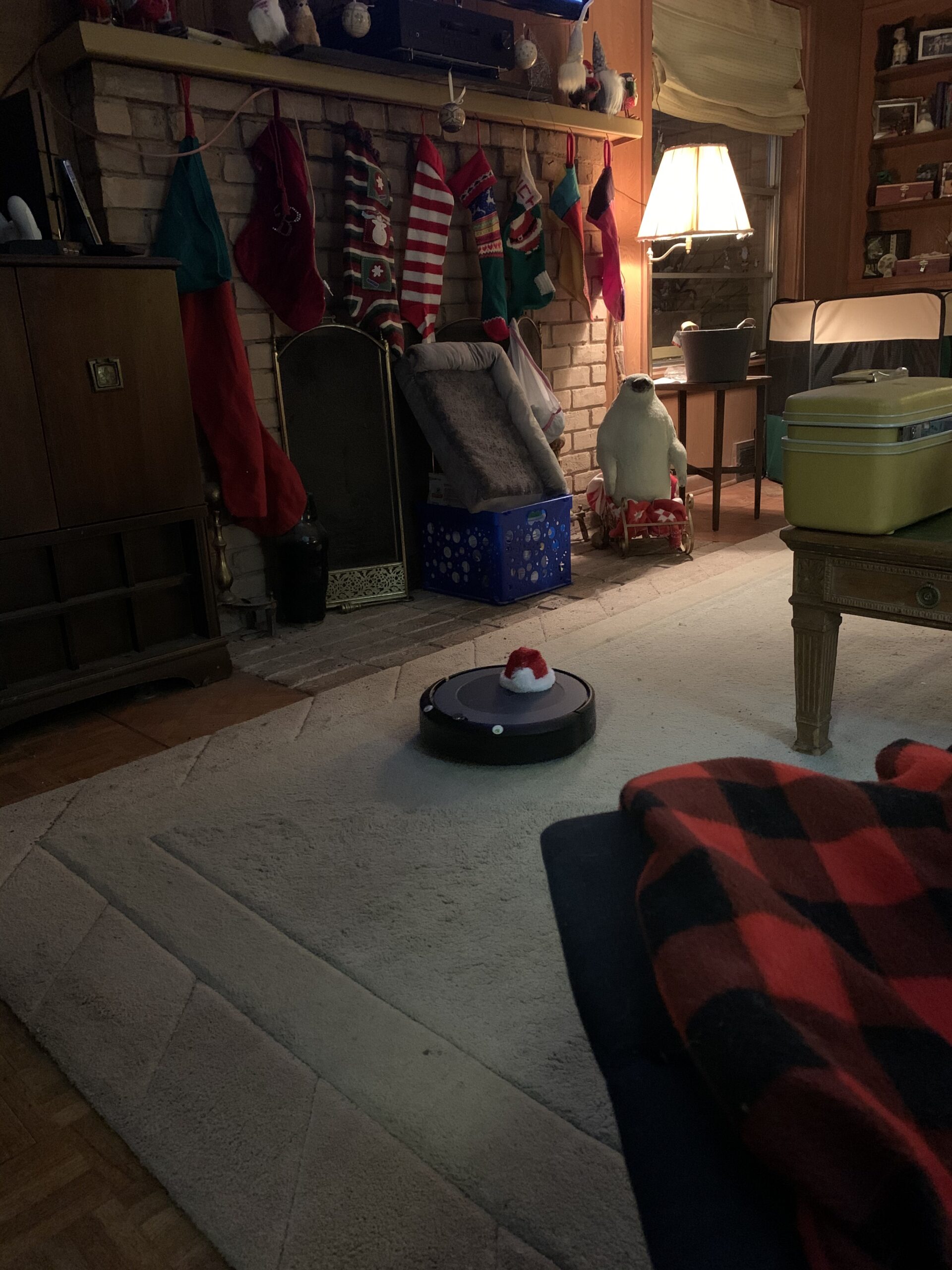 Roomba i3+ EVO (3550) Self-Emptying Robot Vacuum - Now Clean by Room with Smart Mapping, Empties Itself for Up to 60 Days, Works with Alexa, Ideal for Pet Hair, Carpets customer photo 1