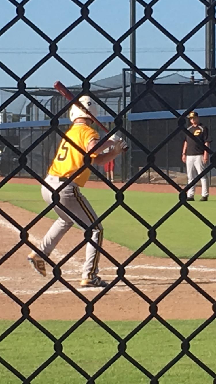 Pro Model Wood Softball Bat customer photo 1