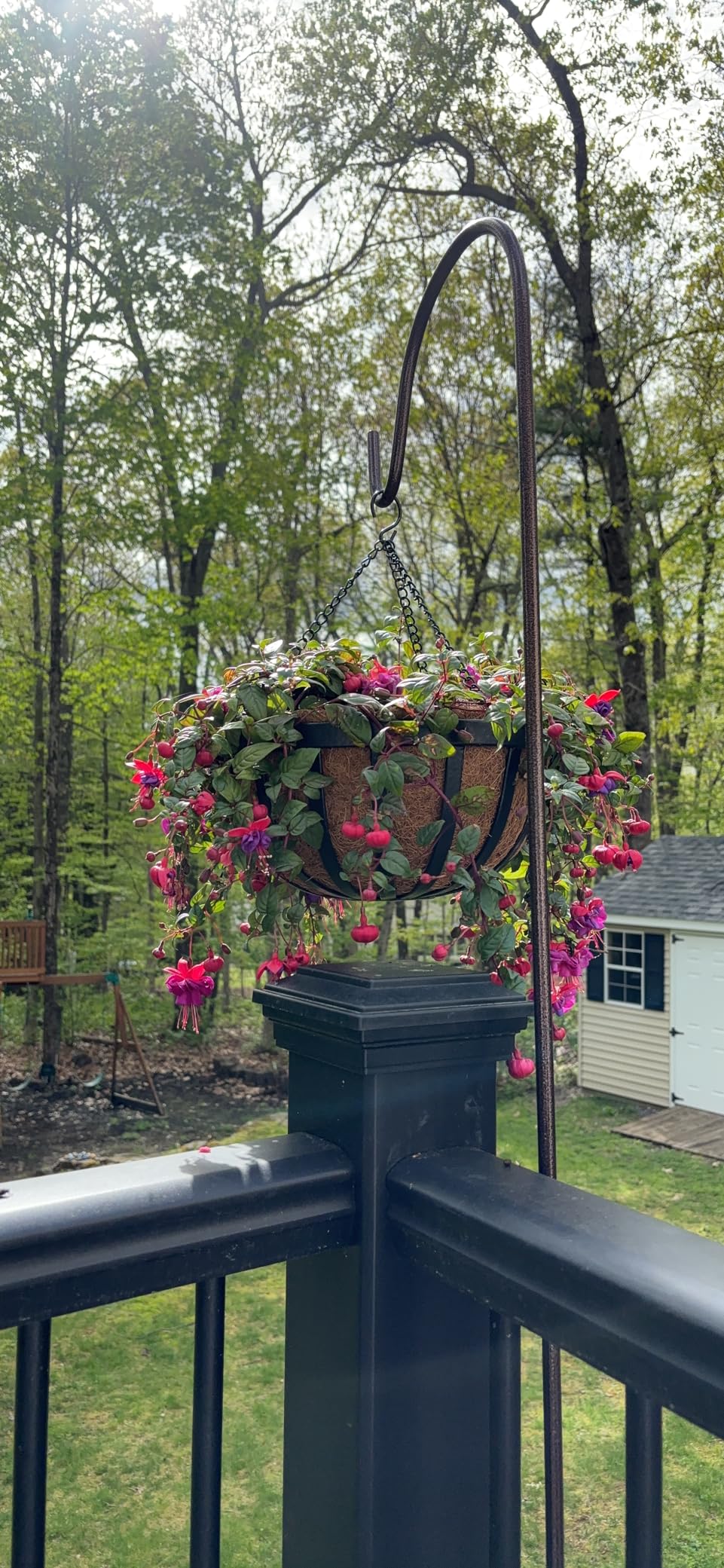 Arcadia Garden Products CB42 12
