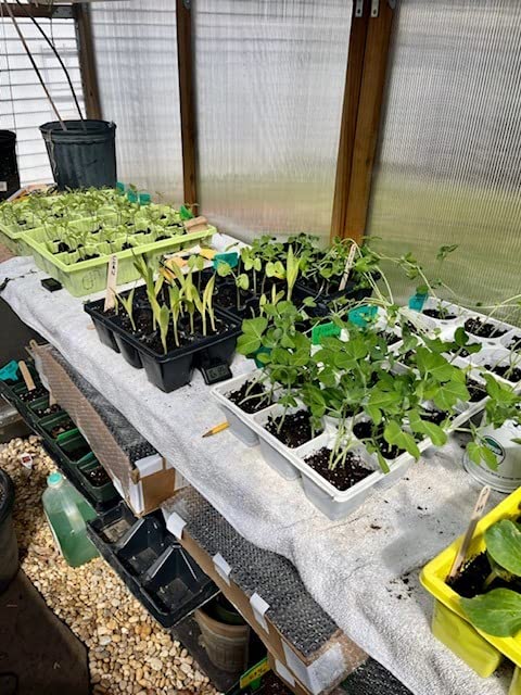 AC Infinity SUNCORE A7, Waterproof Seedling Heat Mat 48