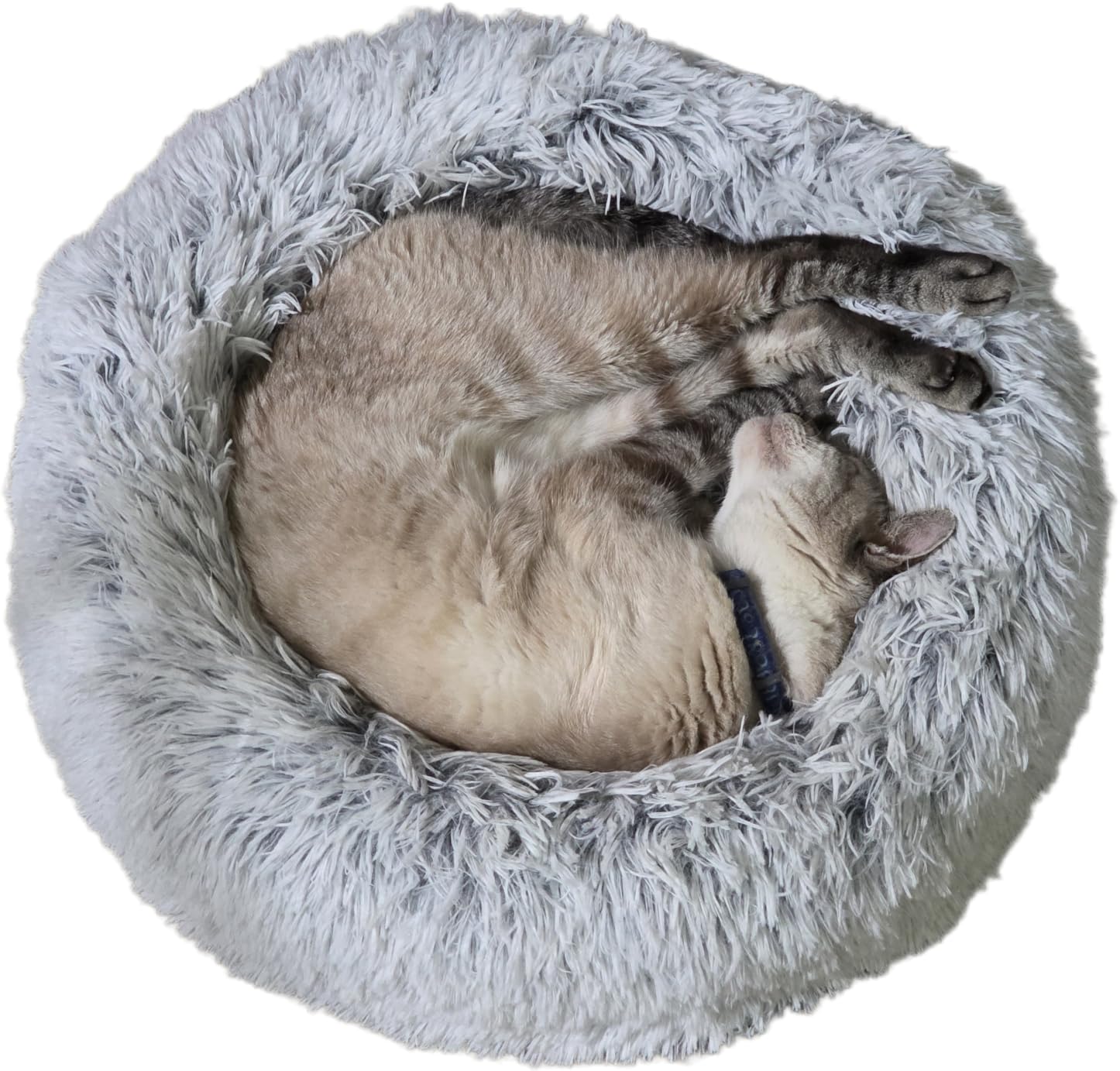 WESTERN HOME WH Calming Dog Bed & Cat Bed, Anti-Anxiety Donut Dog Cuddler Bed, Warming Cozy Soft Dog Round Bed, Fluffy Faux Fur Plush Dog Cat Cushion Bed for Small Medium Dogs and Cats customer photo 2