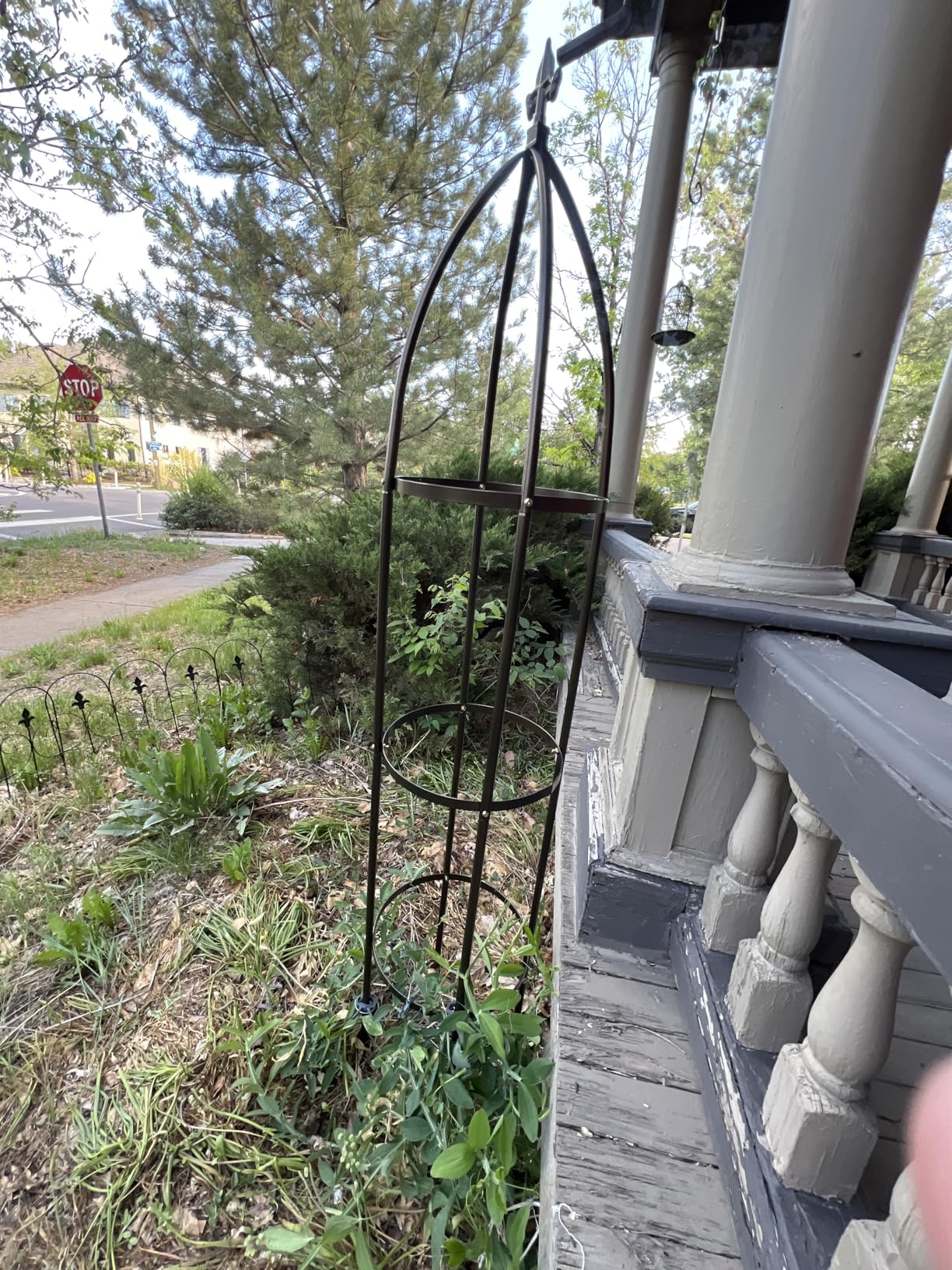 100% Metal Obelisk Garden Trellis 6.3 Feet Tall Sturdy Plant Support for Climbing Vines and Flowers Stands,1pc Upgrade (Bronze, Large) customer photo 1