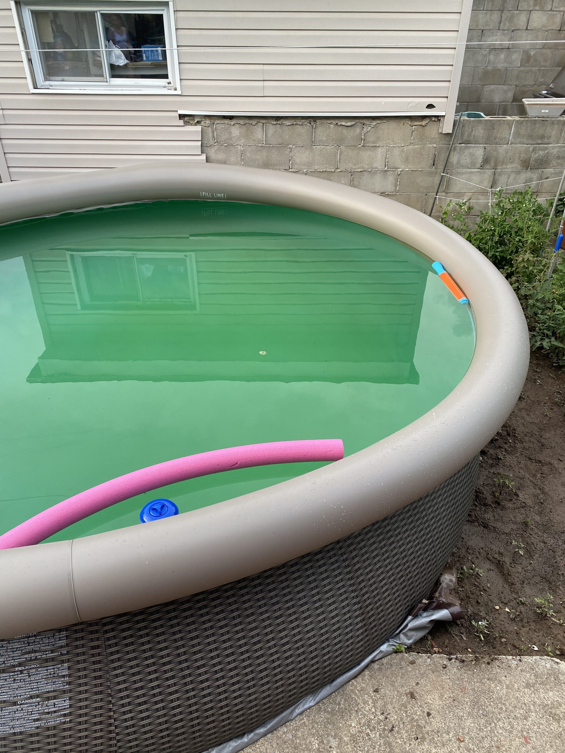 Summer Waves 14 Ft x 36 in Quick Set Above Ground Inflatable Outdoor Swimming Pool with Filter Pump, Ladder, and Filter Cartridge customer photo 1