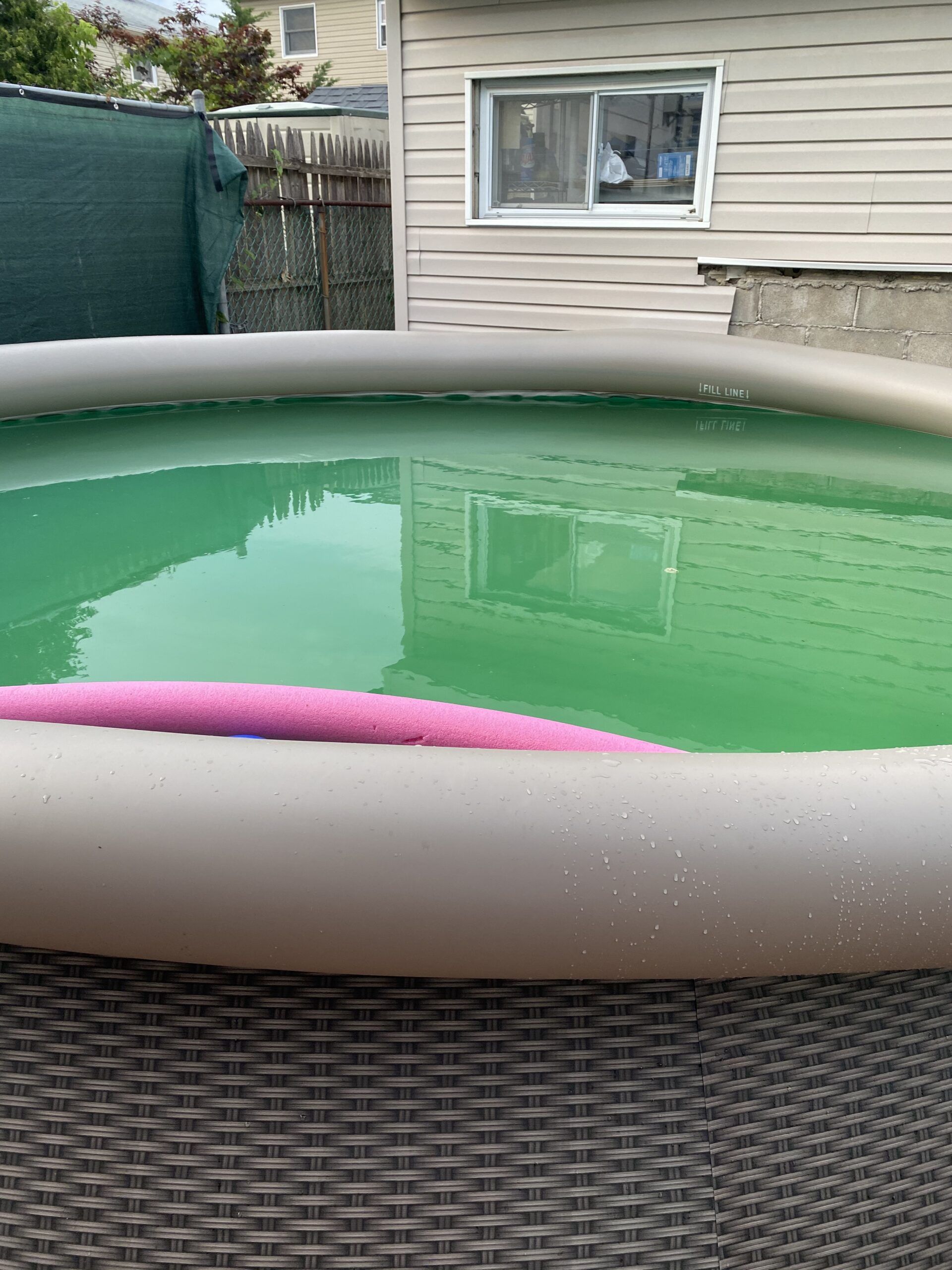 Summer Waves 14 Ft x 36 in Quick Set Above Ground Inflatable Outdoor Swimming Pool with Filter Pump, Ladder, and Filter Cartridge customer photo 2