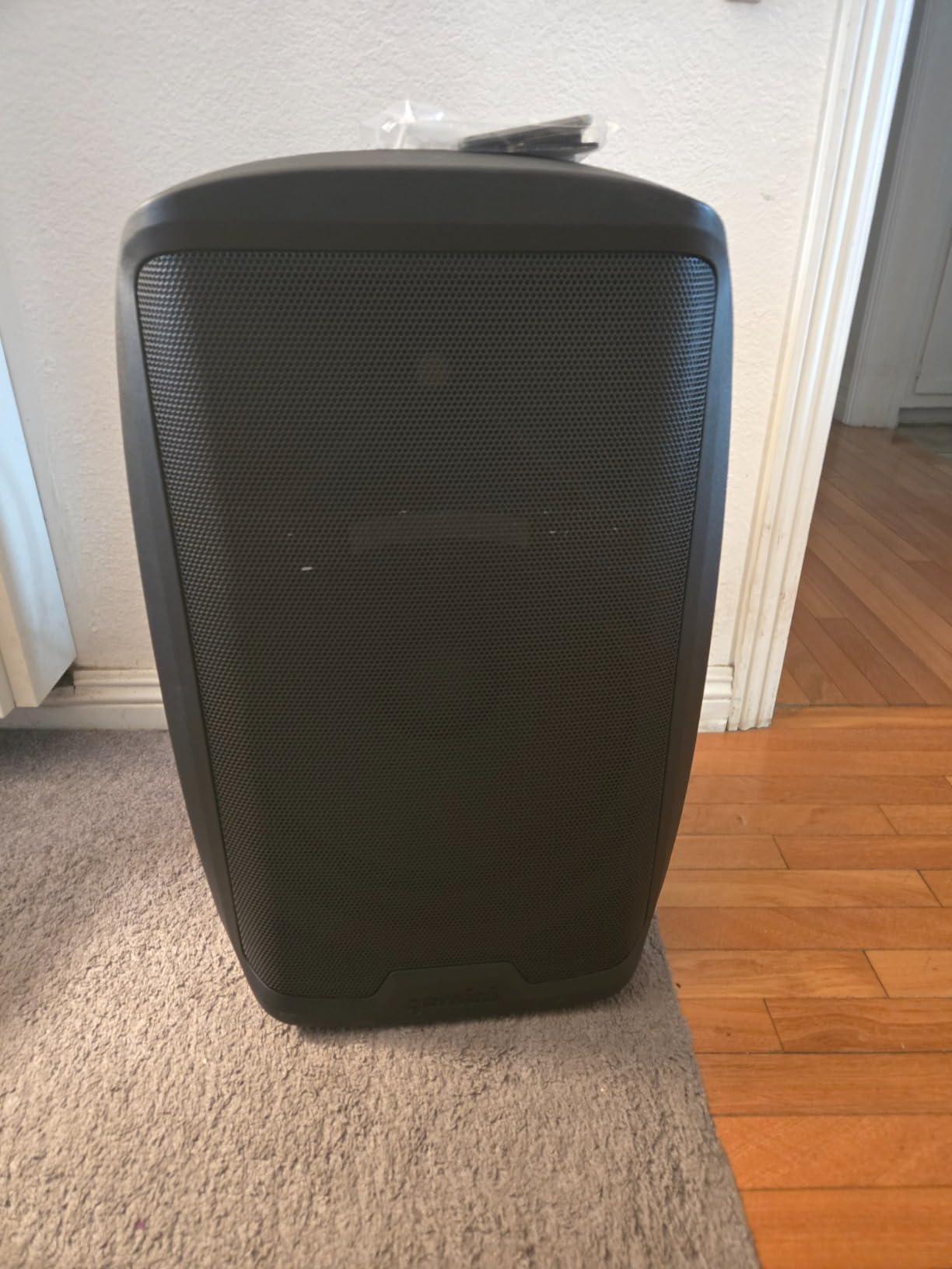 Gemini 15 inch 120W Bluetooth PA Speaker with TWS Link, USB/SD/FM, XLR/RCA/AUX Inputs, Dual Mic and Guitar Inputs, EQ Control, Pro Sound System for DJs, Gigs, Events and Mobile Setups (AS-2115BT) customer photo 1