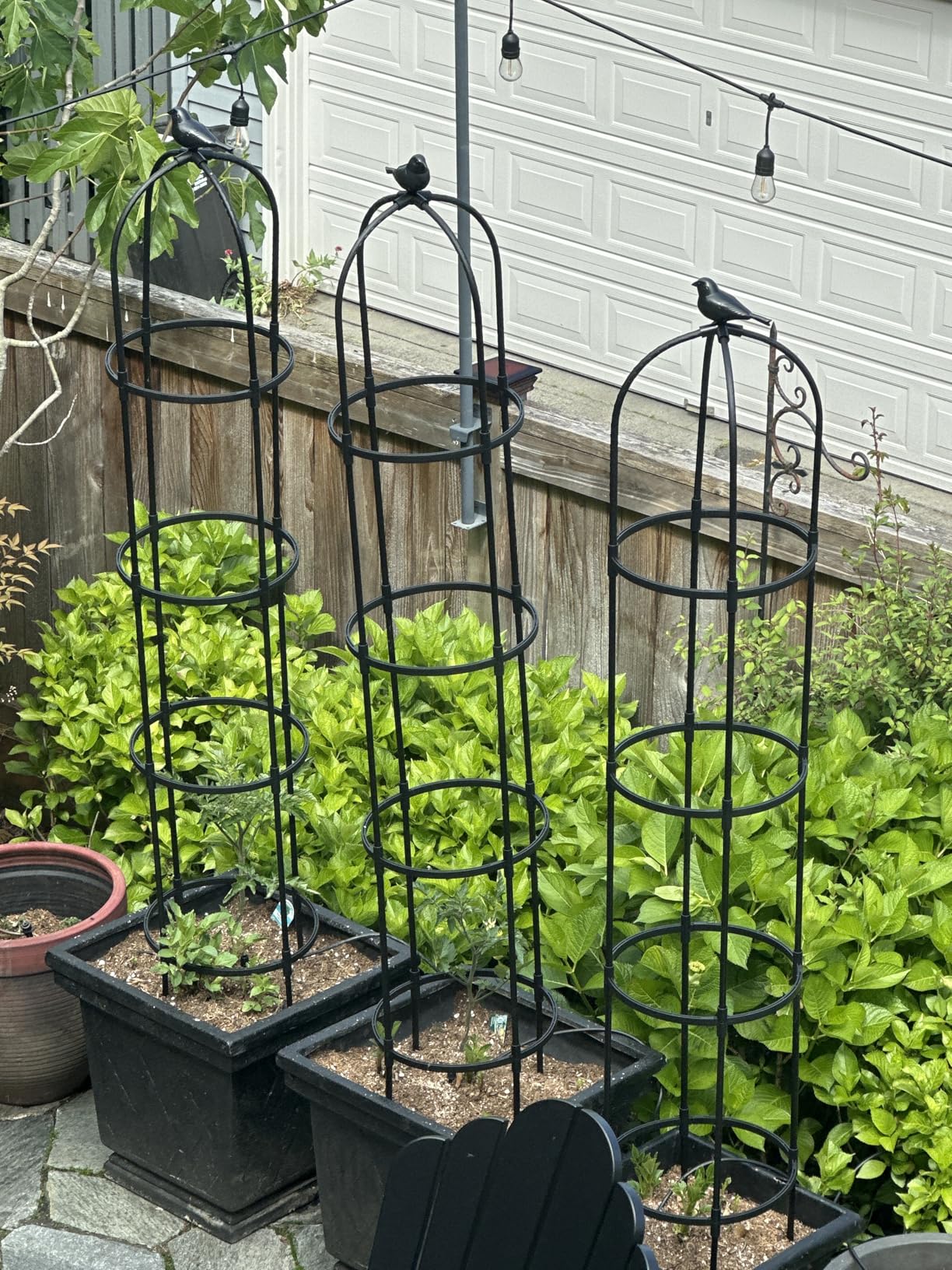 Garden Obelisk Trellis for Climbing Plants Outdoor, 6.3 ft Tall Rose Trellis Climbing Plants Support for Potted Light Vine Flower Vegetable Cucumber Trellis Raised Garden Bed, Black, 2PCS customer photo 1