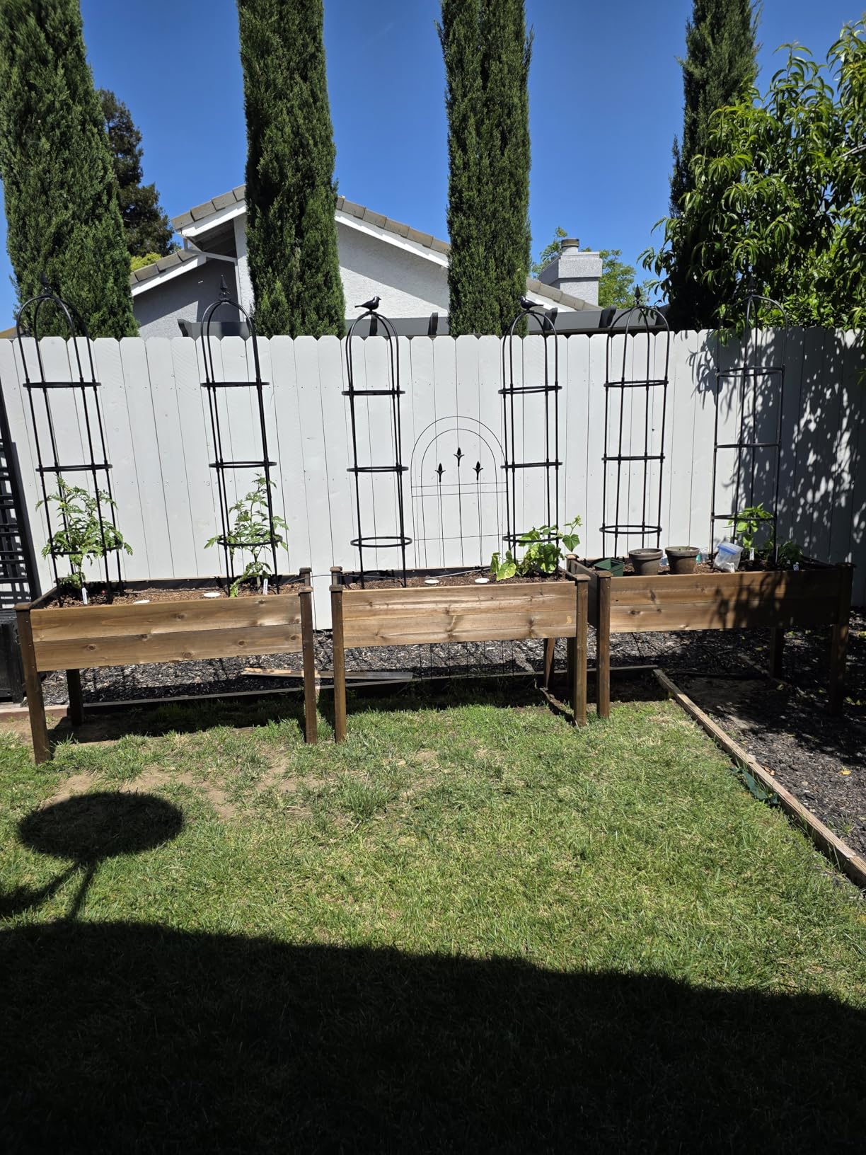 Garden Obelisk Trellis for Climbing Plants Outdoor, 6.3 ft Tall Rose Trellis Climbing Plants Support for Potted Light Vine Flower Vegetable Cucumber Trellis Raised Garden Bed, Black, 2PCS customer photo 2