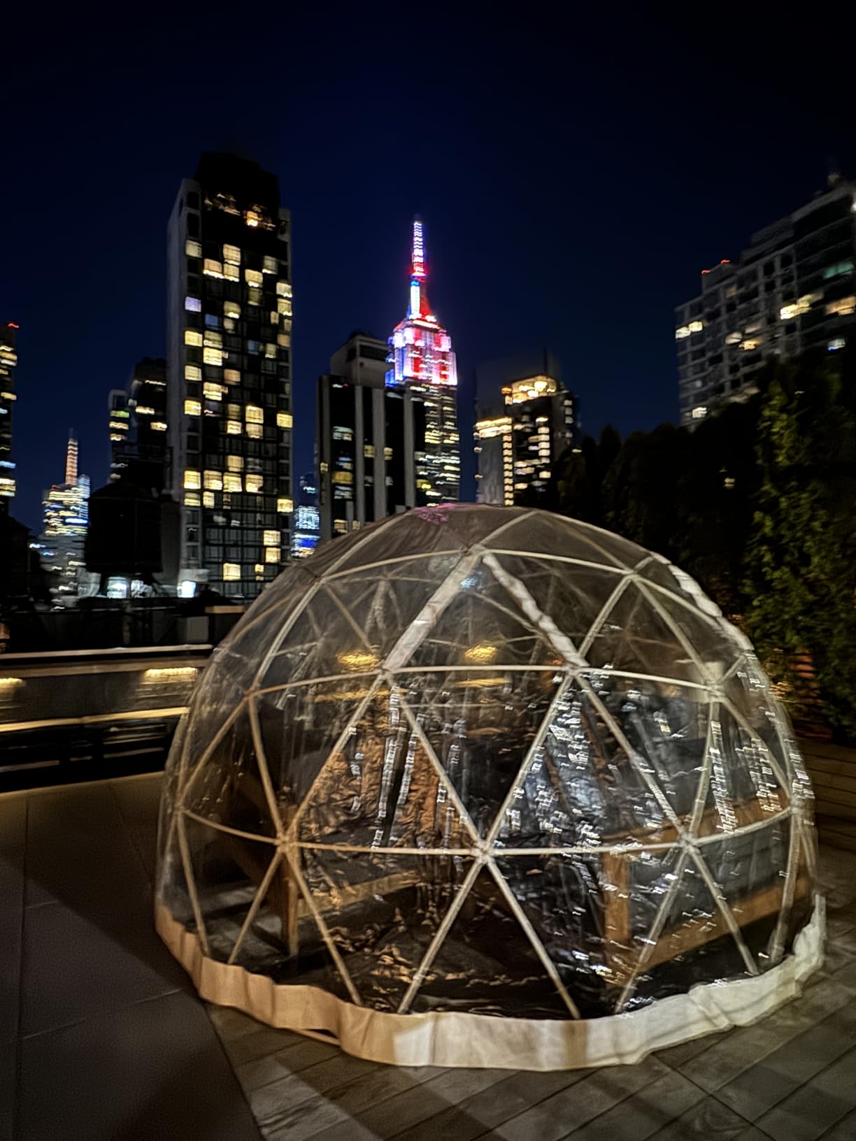 CZGBRO 12FT Garden Dome House, Outdoor Clear Dome Tent Shelter Geodesic Dome for Backyard Patios customer photo 1