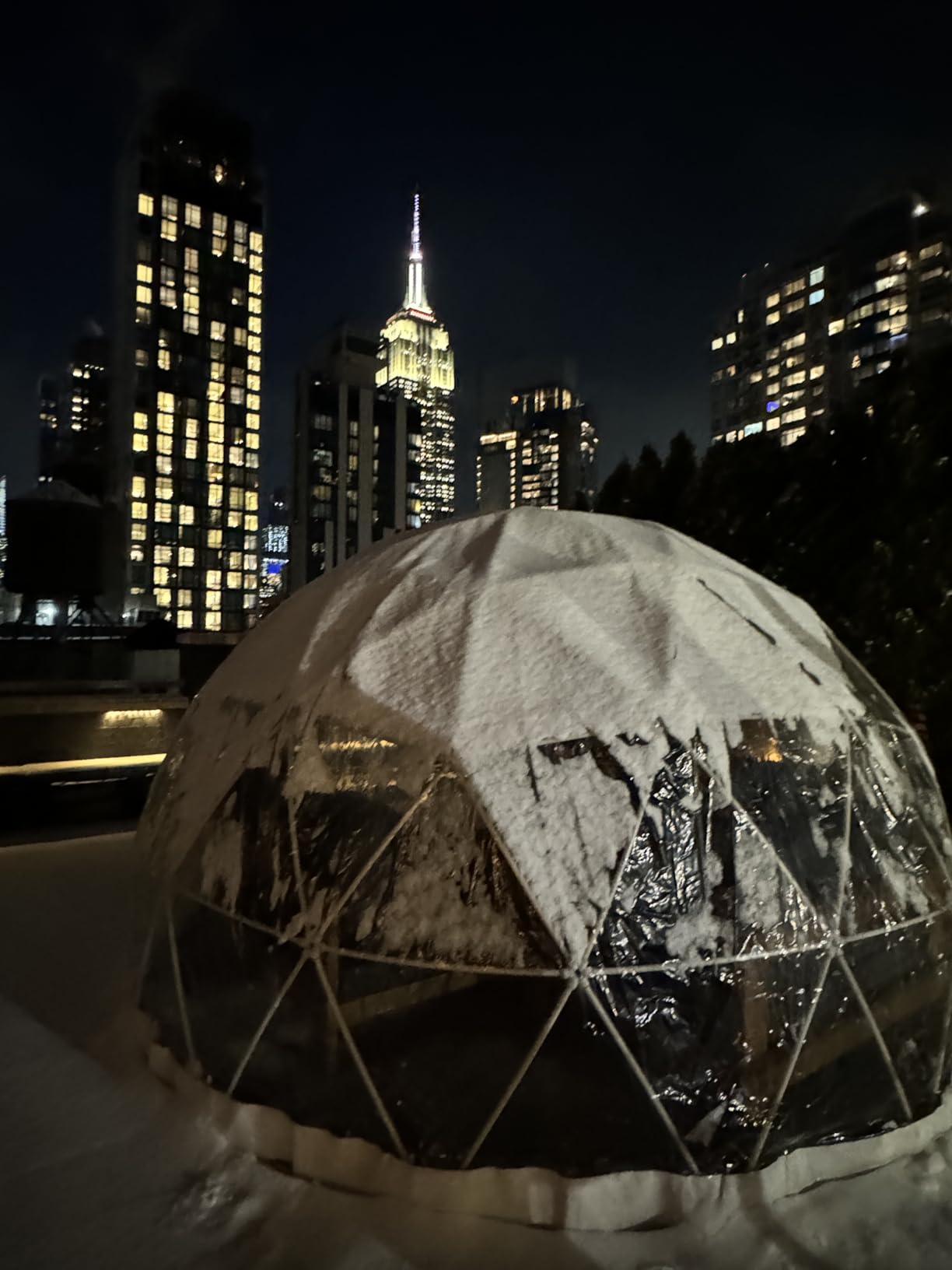 CZGBRO 12FT Garden Dome House, Outdoor Clear Dome Tent Shelter Geodesic Dome for Backyard Patios customer photo 2