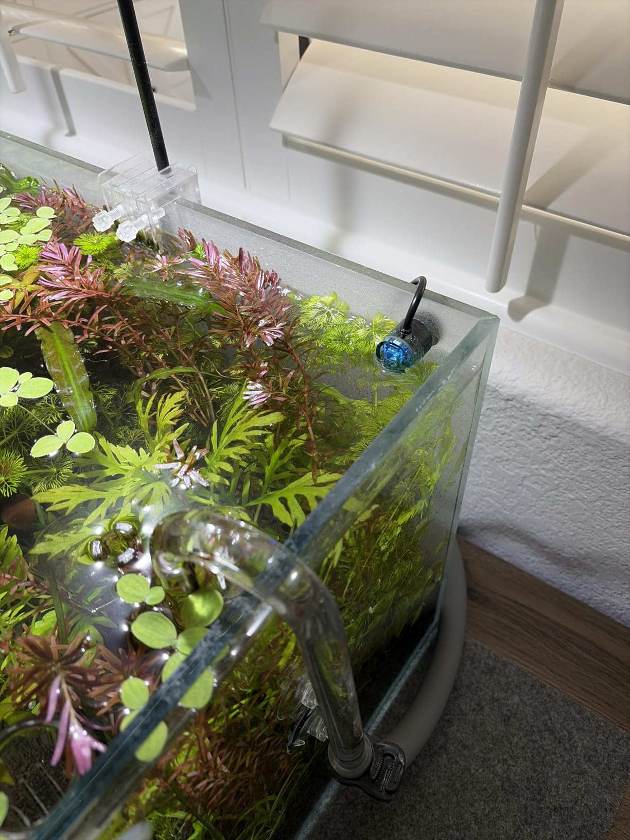 FZONE ATO System for Saltwater Aquarium, Auto Top Off with Dual Optical Sensors for Reef and Freshwater Tanks (Green) customer photo 2