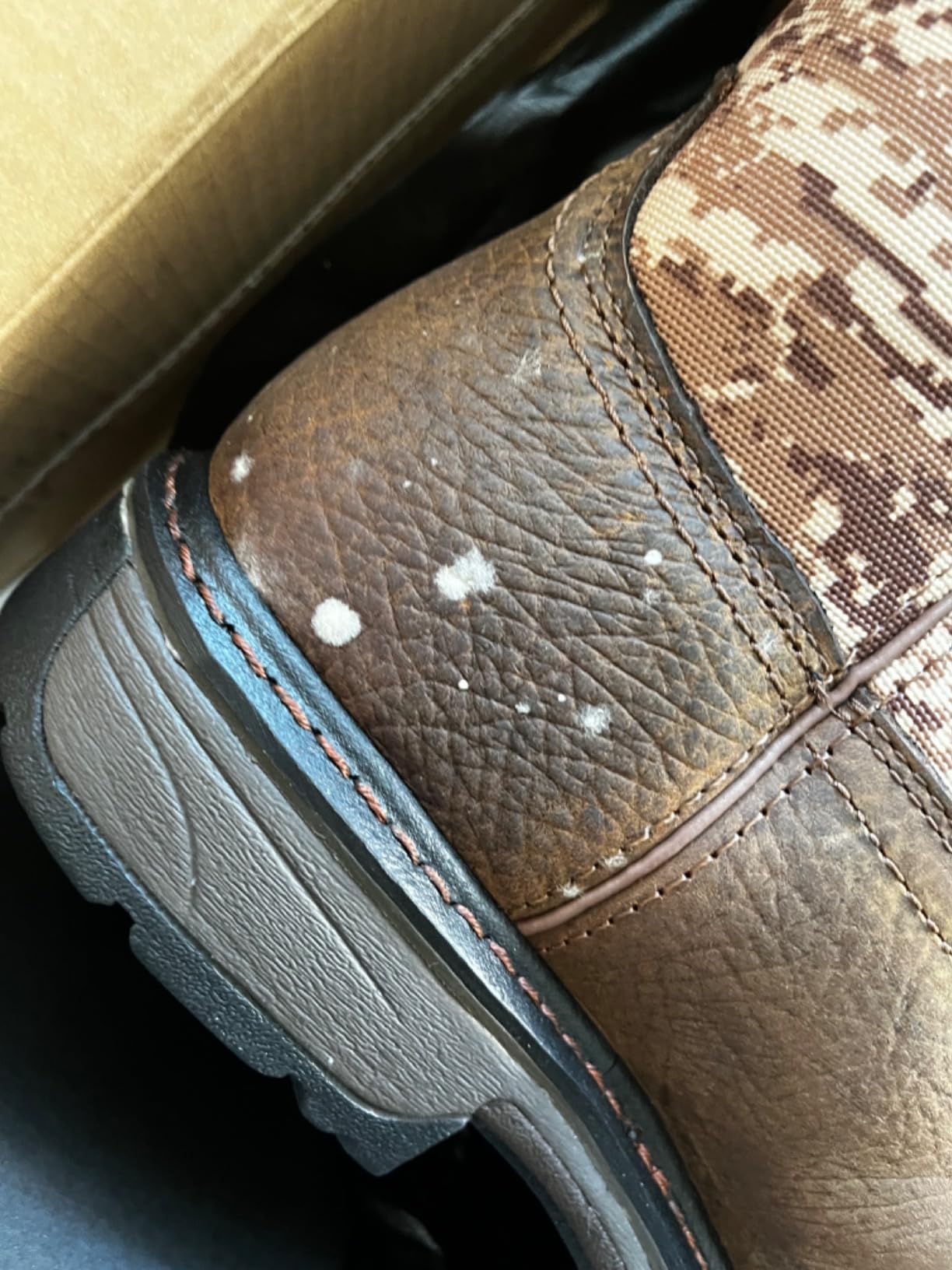Ariat Women's V Sport Zip Tall Riding Boot customer photo 1