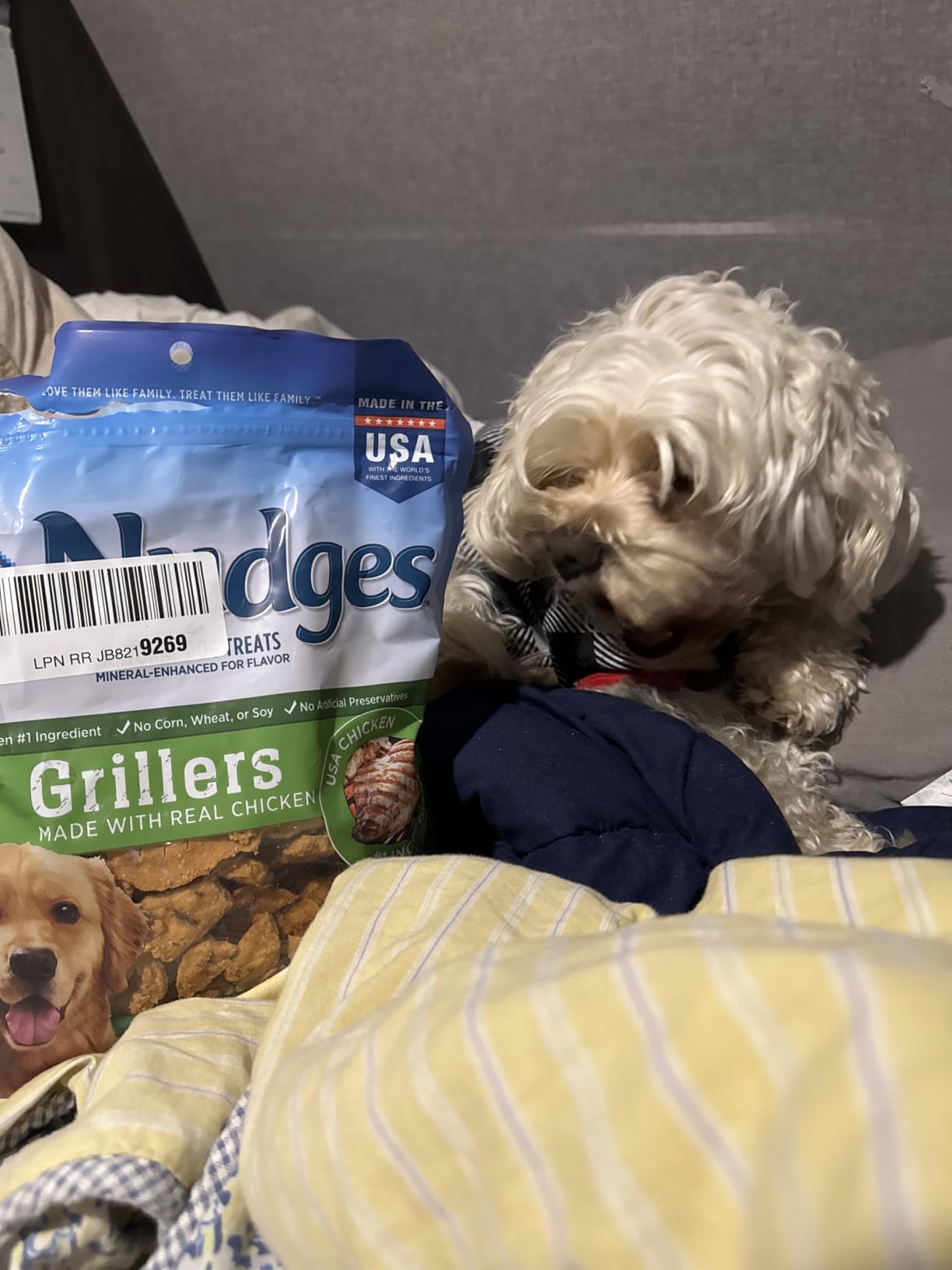 Blue Buffalo Nudges Chicken Grillers Natural Dog Treats, Tender & Meaty Dog Snacks, Easy-To-Tear for Training, Made in the USA with Real Chicken, No Artificial Preservatives, 16 oz. customer photo 2