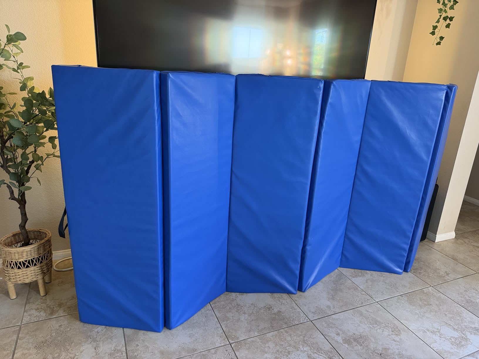 ZENOVA Gymnastics Mat 6'x3'x2