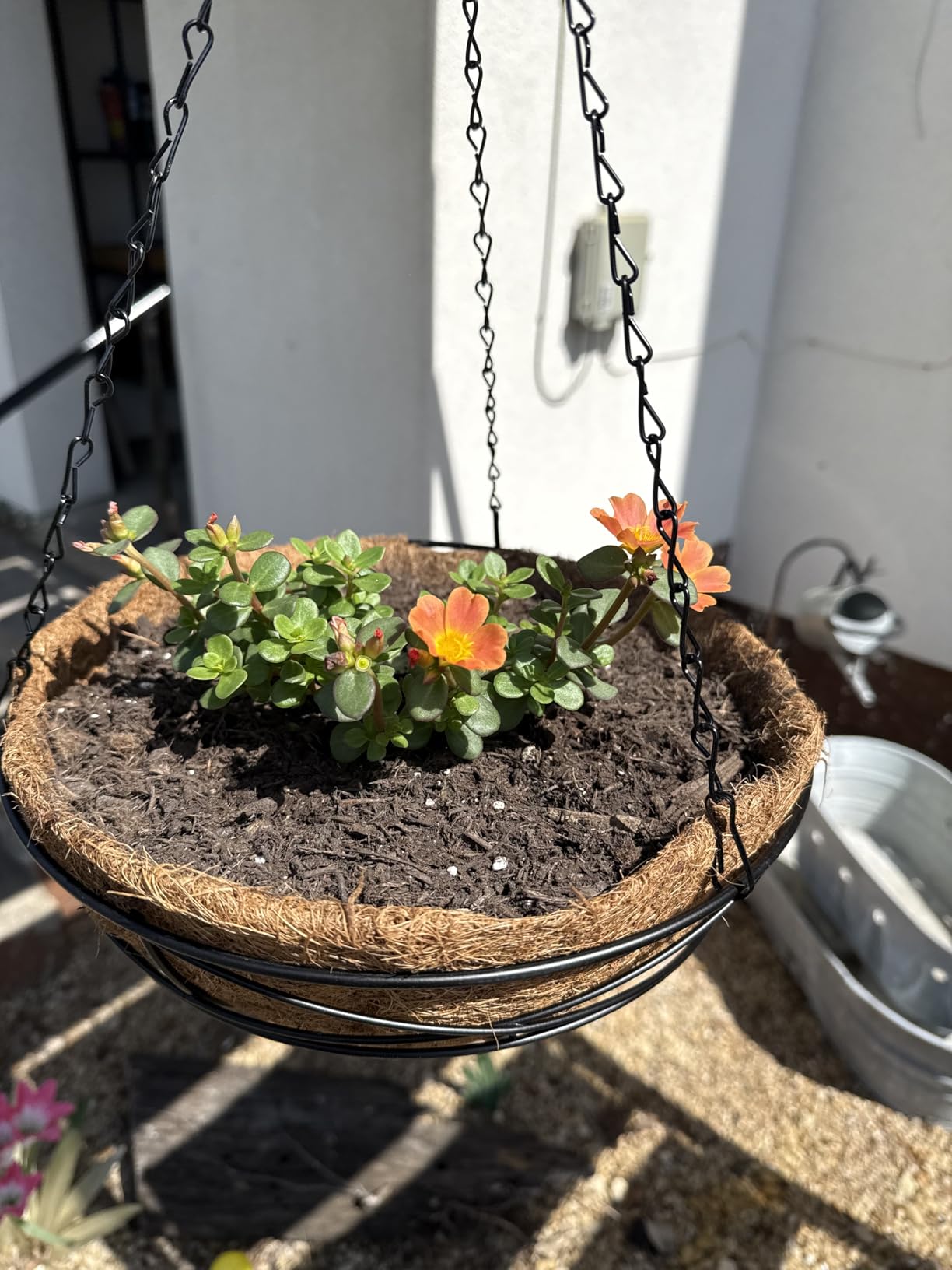 4 Pack 12 Inch Hanging Planters for Outdoor Plants Metal Watering Flower Baskets with Coco Liner for Outside Panting Plant Holder Pot for Home Garden Porch Balcony Railings Decor customer photo 1