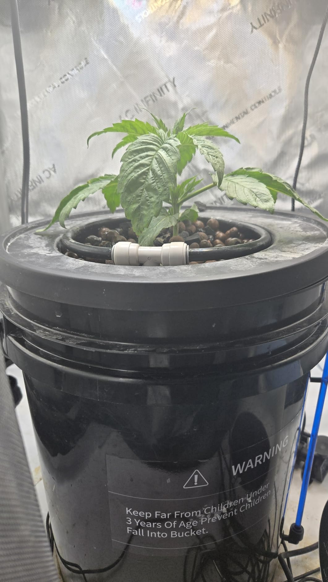 Mars Hydro DWC Hydroponics Grow System 5 Gallon Deep Water Culture with 8W Air Pump, Multi-Purpose Air Hose, Air Stone, 2 Buckets and Top Drip Kit customer photo 2