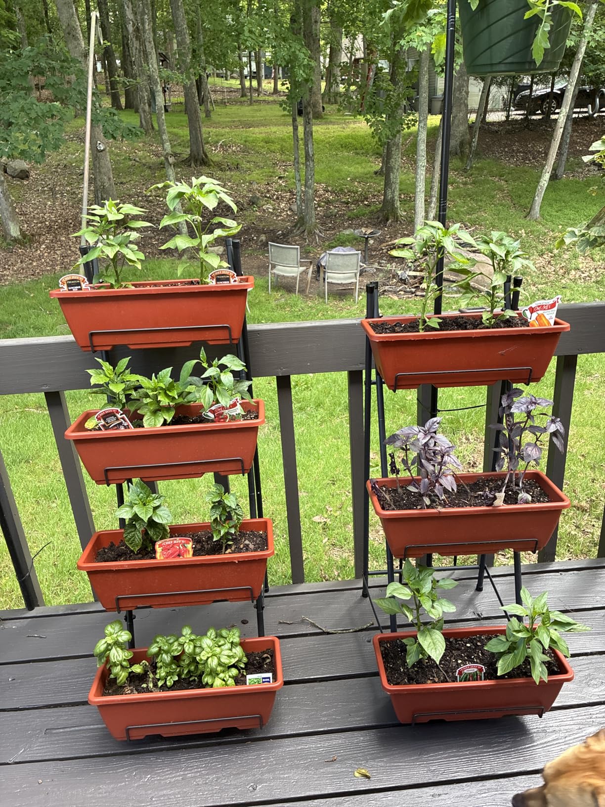 OYEAL Raised Garden Bed 4 Tier Vertical Garden Planters Indoor Outdoor Raised Planter Box with Legs Elevated Herb Garden Planter for Flowers Vegetables Plants, Black customer photo 1