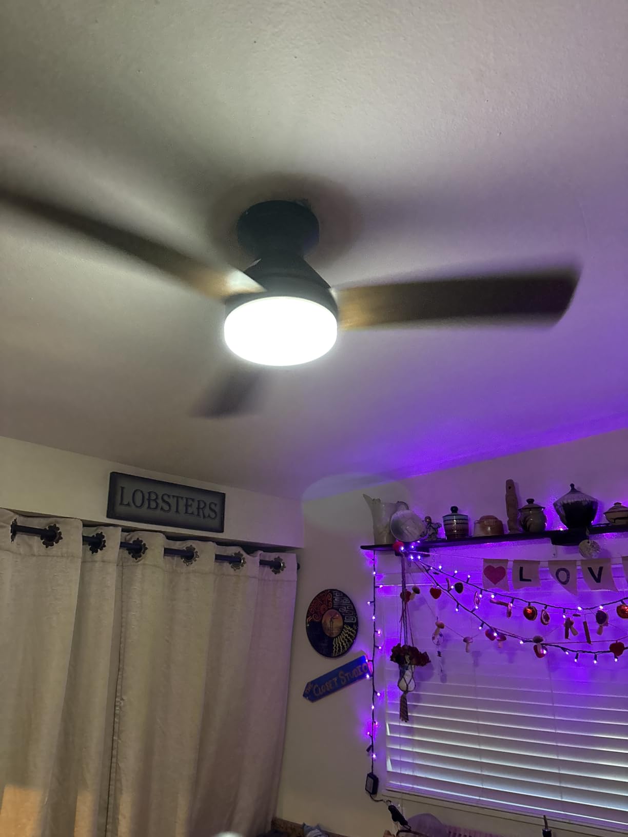 Ceiling Fans with Lights, 42 inch Low Profile Ceiling Fan with Light and Remote Control, Flush Mount, Reversible, 3CCT, Dimmable, Noiseless, White Ceiling Fan for Bedroom, Indoor/Outdoor Use customer photo 2