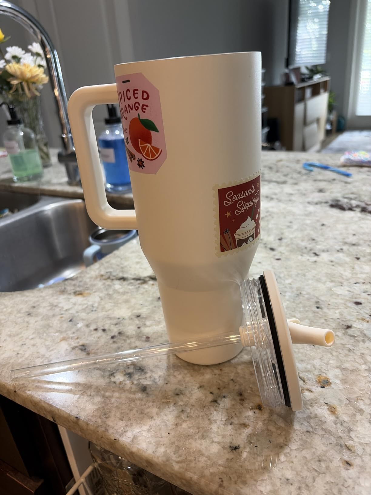 Stanley Traveler 40 oz Water Bottle with Handle & Flip Straw | Cup Holder Friendly | Leak Resistant | Sage customer photo 1