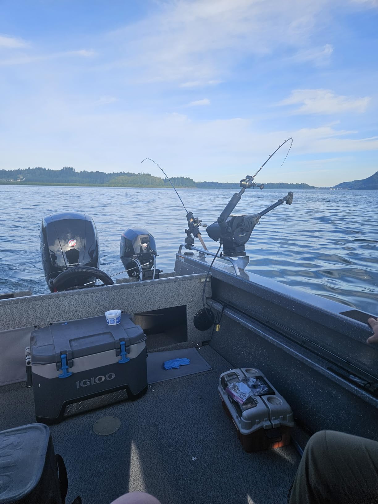 PacificReef Downrigger Weight Oval w/Fin Coated Ball [4lbs, 6lbs, 8lbs, 10lbs, 12lbs] - Sinker for Downriggers Weight Pancake Oval Canon Ball with Protective Vinyl Coating for Salmon Trout customer photo 1