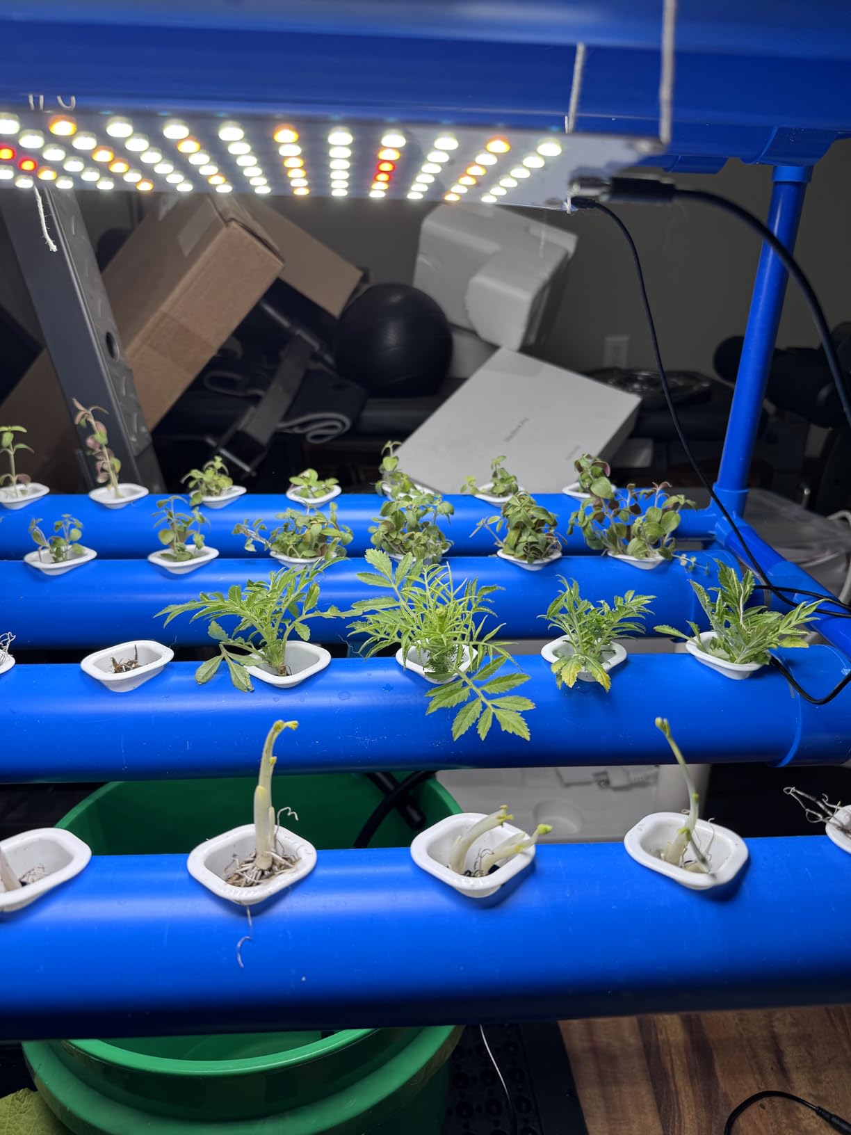 Hydroponics Growing System Kit for Vegetables,Flowers Fruits and Herbs, with 108 Plant Sites, Suitable for Indoor and Outdoor, Block Light Design customer photo 1
