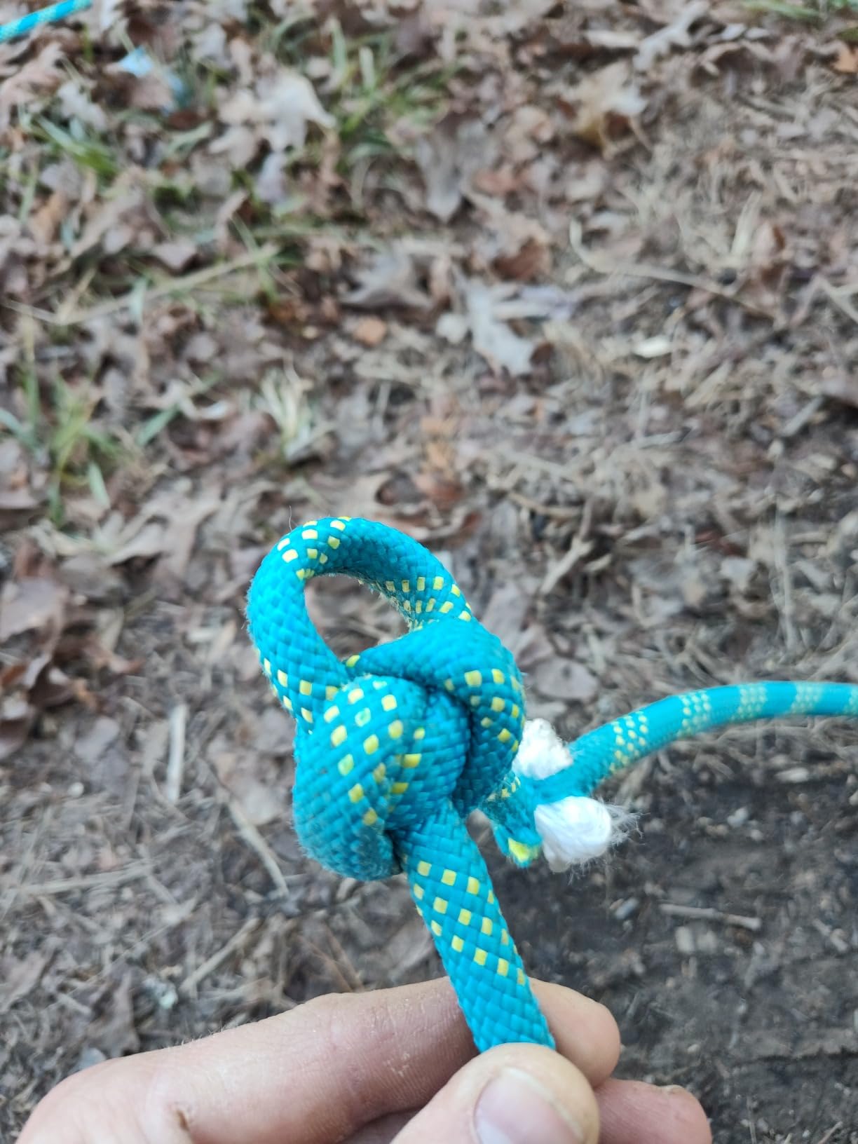 1/2 Inch Arborist Rigging Rope (150 Ft) | 9,000 lbs MBS Double Braid Polyester Bull Rope | ASTM F2116 Certified Static Line for Tree Removal customer photo 2