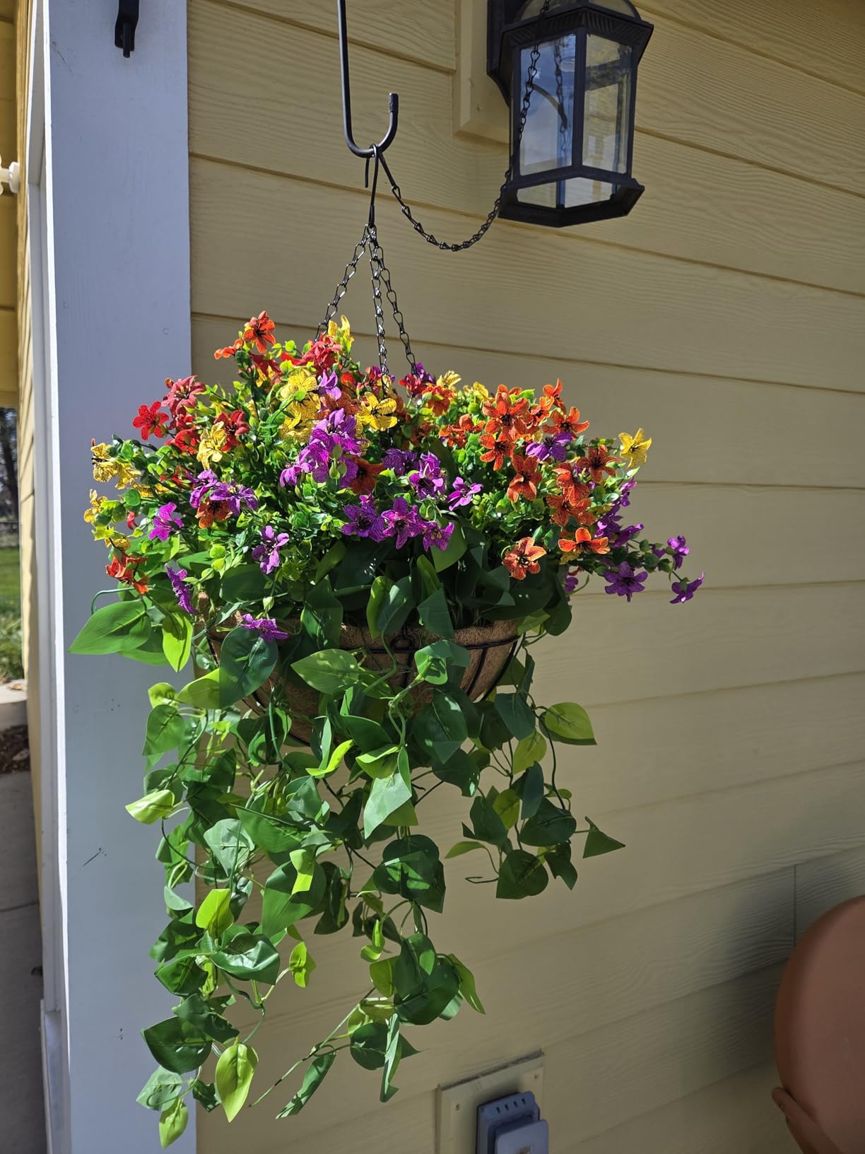 LCHUANG Hanging Baskets Planter for Plants - 2 Pack 14 Inch Metal Baskets with Coco Coir Liner, Hanging Flower Pots for Outside with Chain, Indoor Outdoor Garden Porch Decoration (14'' Pack of 2) customer photo 1