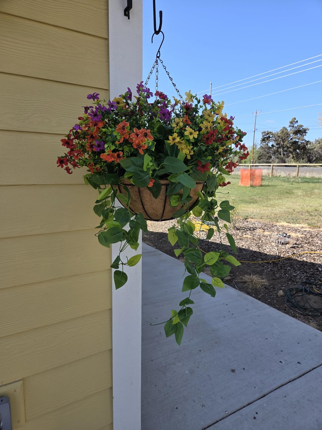 LCHUANG Hanging Baskets Planter for Plants - 2 Pack 14 Inch Metal Baskets with Coco Coir Liner, Hanging Flower Pots for Outside with Chain, Indoor Outdoor Garden Porch Decoration (14'' Pack of 2) customer photo 2