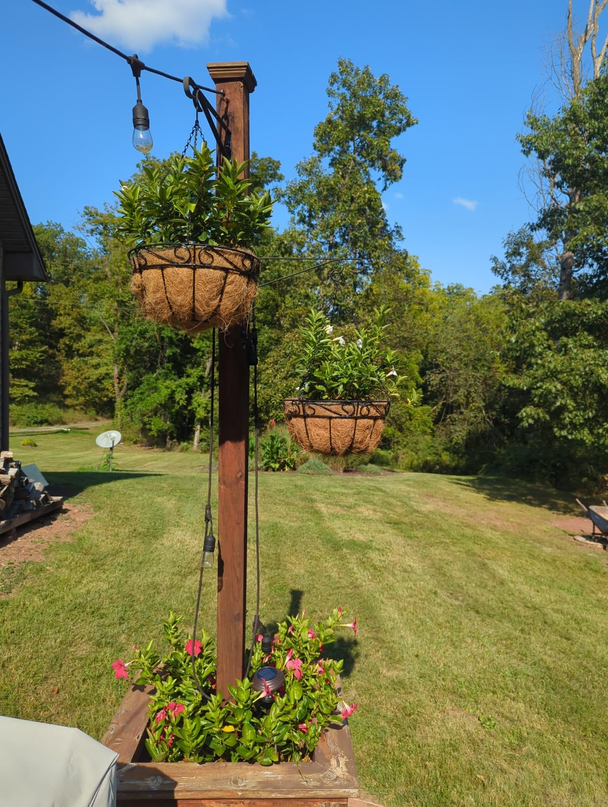 Ashman 16 Inch Metal Hanging Planter Basket with Coco Coir Liner Round Wire Plant Holder Chain Porch Decor Flower Pots Hanger Garden Decoration Indoor Outdoor Watering Hanging Baskets (4 Pack) customer photo 1