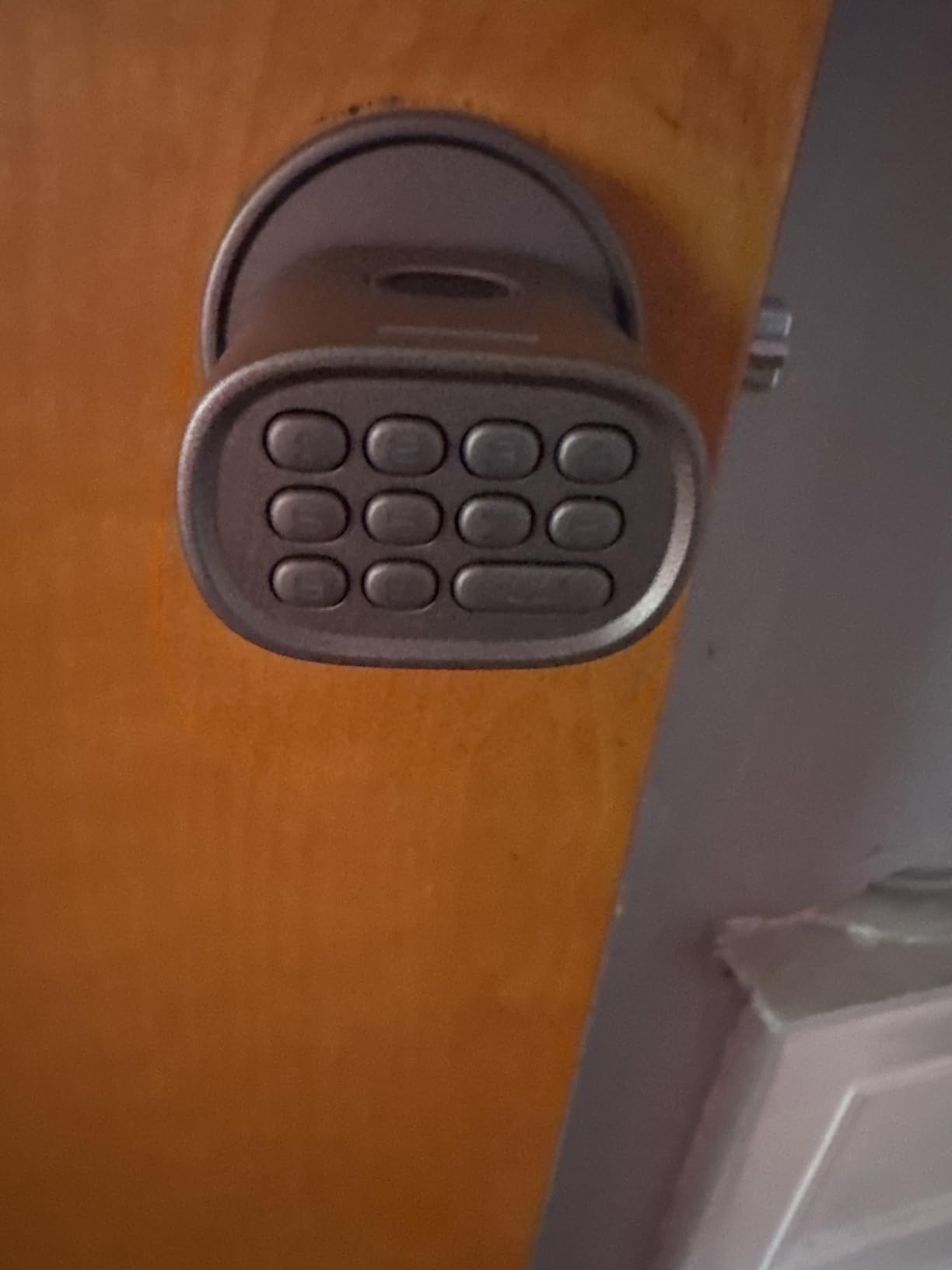 ThorBolt Fingerprint Door Knob, Keyless Door Knob with Keypad Biometric Electronic Thumbprint, Auto-Lock for Interior Doors for Bedroom, Home, Office, Garage, 4xAA Alkaline (NOT Included), MD1 Black customer photo 2