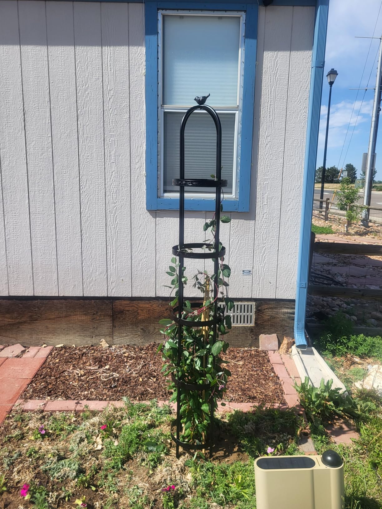 Evergreen Metal Garden Obelisk Trellis for Climbing Plants Outdoor Black | 7 Feet Adjustable | Indoor Plant Trellis for Potted Plants & Heavy Vines | Floral Pattern Arch Trellis customer photo 2