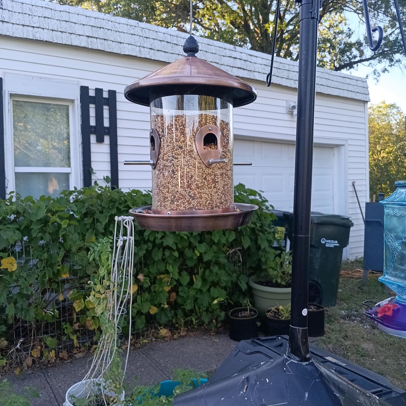 Kingsyard 4.5-Cups Large Metal Bird Feeders for Outdoors Hanging with 8 Ports, Tube Bird Feeder with Seed Tray, Weatherproof Chew Proof Roof for Cardinal Finch, Copper customer photo 2