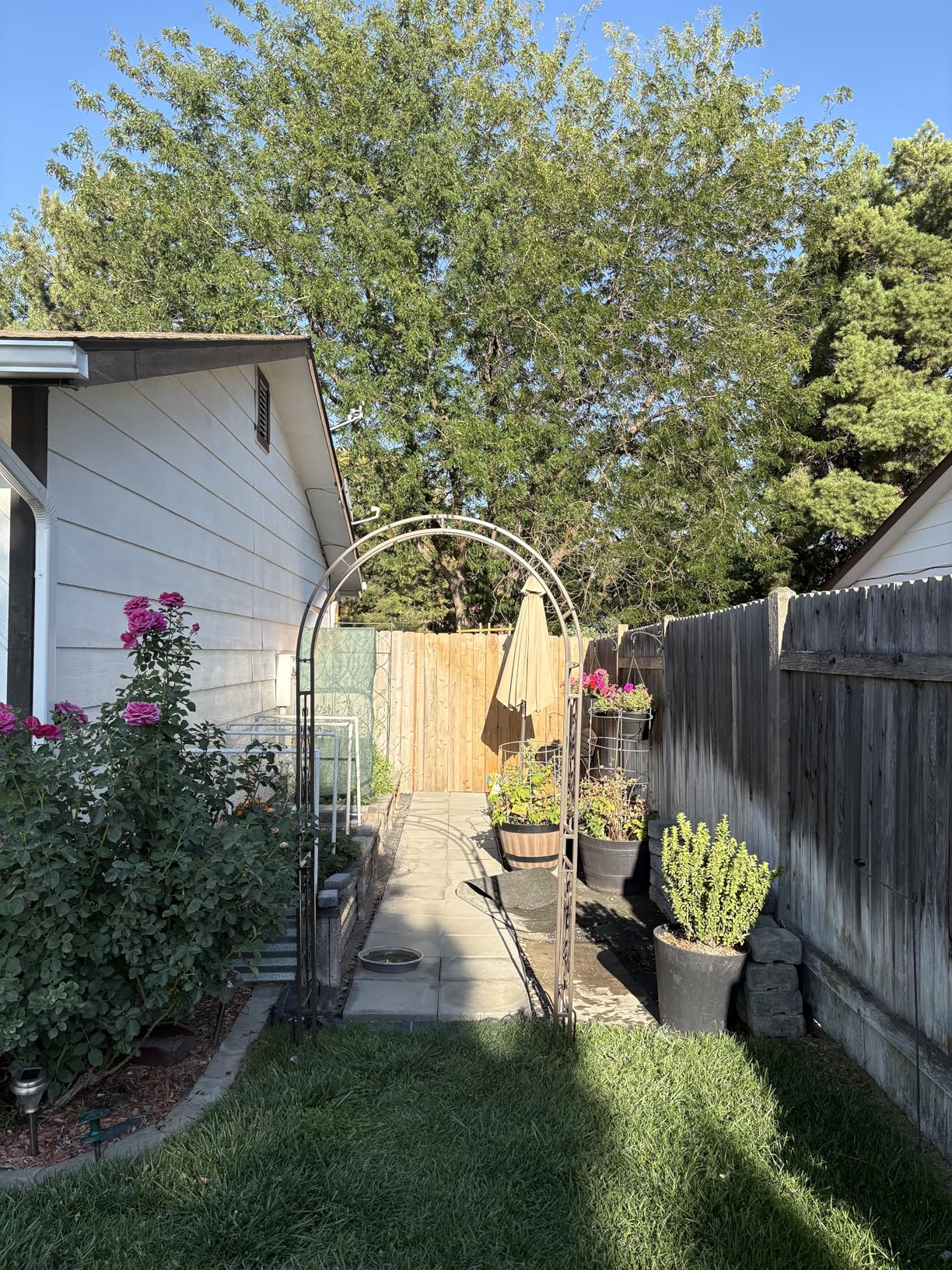 Plow & Hearth Arch Metal Outdoor Garden Arbor Montebello Gunmetal 7 Feet Tall, Steel Iron Trellis Lattice for Climbing Plants & Heavy Vines Wedding Arch Outdoor Patio Décor customer photo 1