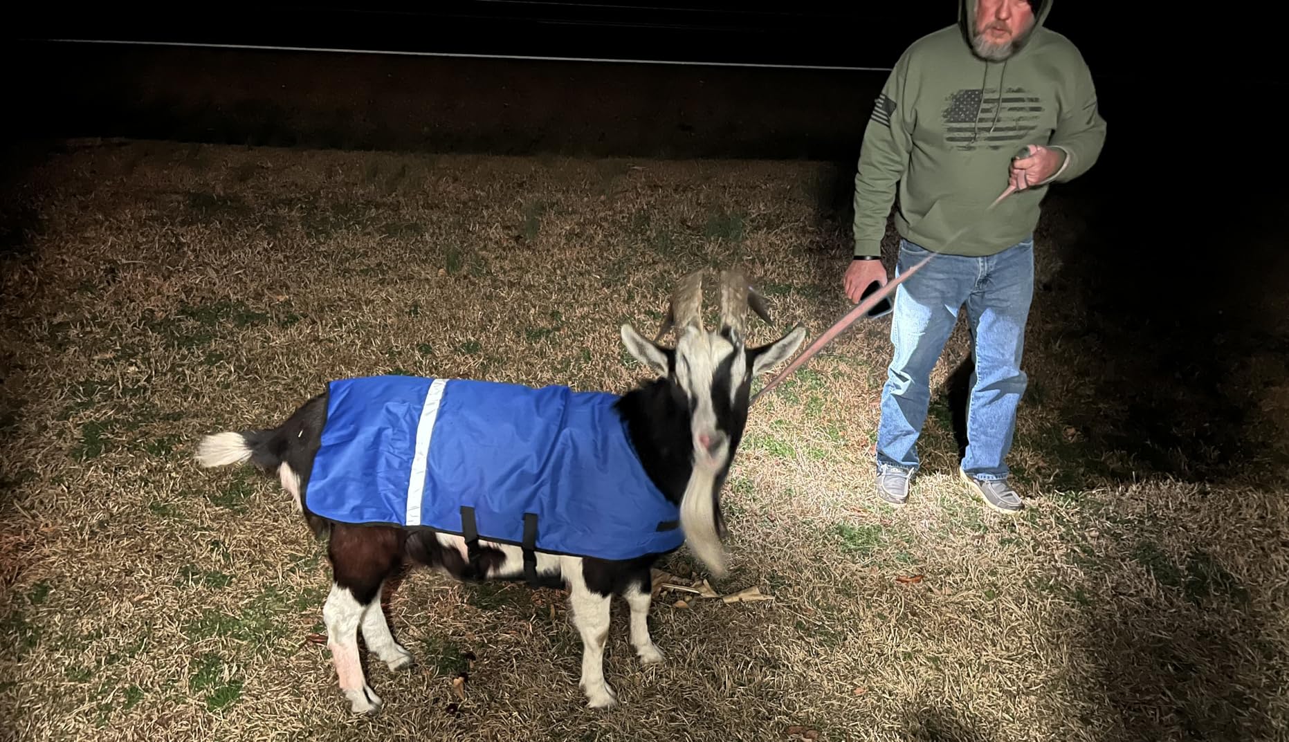 1PC Goat Coat Calf Warm Clothes Calf Saver Coat Blanket for Keep Cow Warmming Thickened Belly Protection Windproof, Horse Blanket for Calves, Goats, Foals, Donkeys, Alpaca and Large Dogs(Blue Plush) customer photo 1