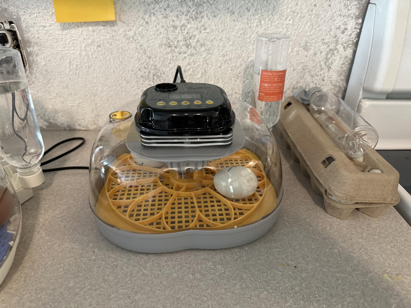 12 Egg Incubators for Hatching Eggs, Temperature and Humidity Control, Automatic Egg Turning, Egg Candler, Automatic Water Refill, for Chicken, Quail & Duck Eggs, Perfect for Home, Farm, Classroom customer photo 2