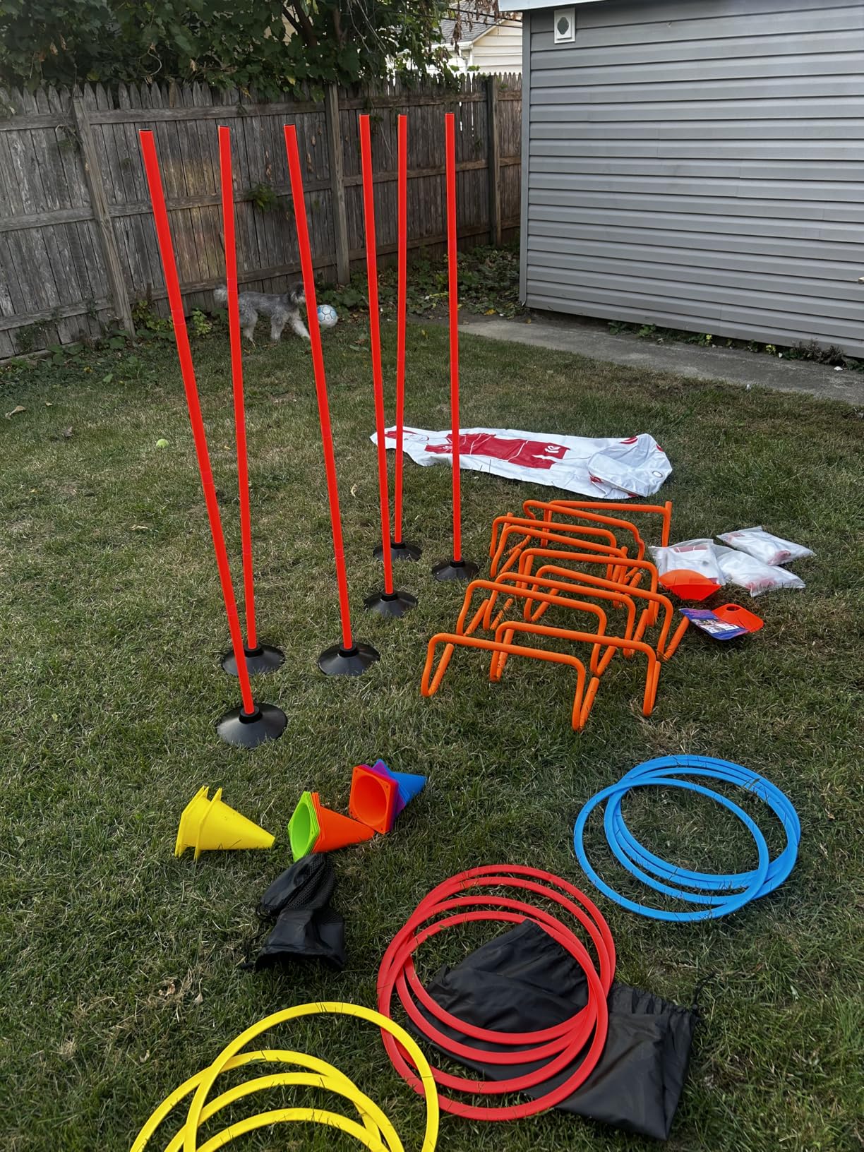 6 Pcs 5 FT Adjustable Agility Training Poles for Soccer,Basketball,Football, Horse,Dog-Speed and Agility Training Equipment Sports Training Poles with Rubber Bases and Bag customer photo 1