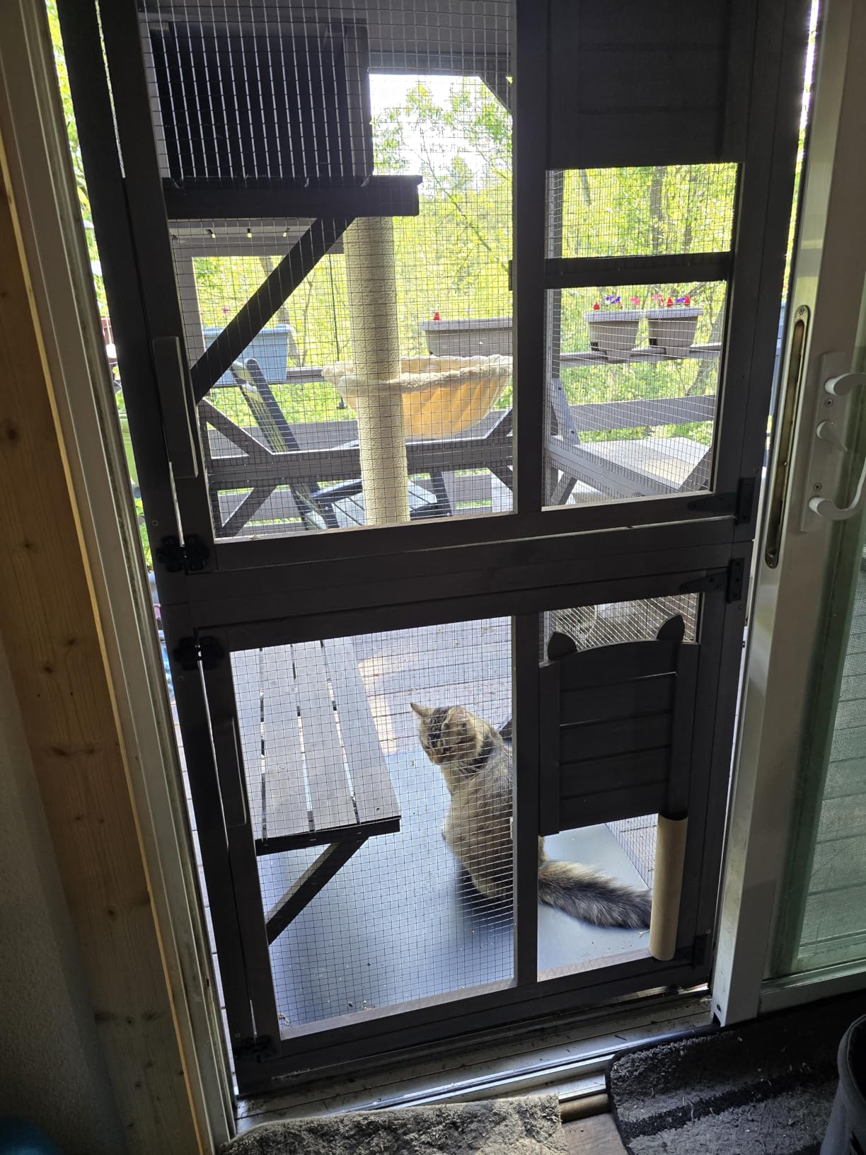 Aivituvin Cat Catio Outdoor Cat House Movable Large Enclosures on Exercise Wheels Kitty Cage with Upgraded Resting Box,Waterproof Cover customer photo 1