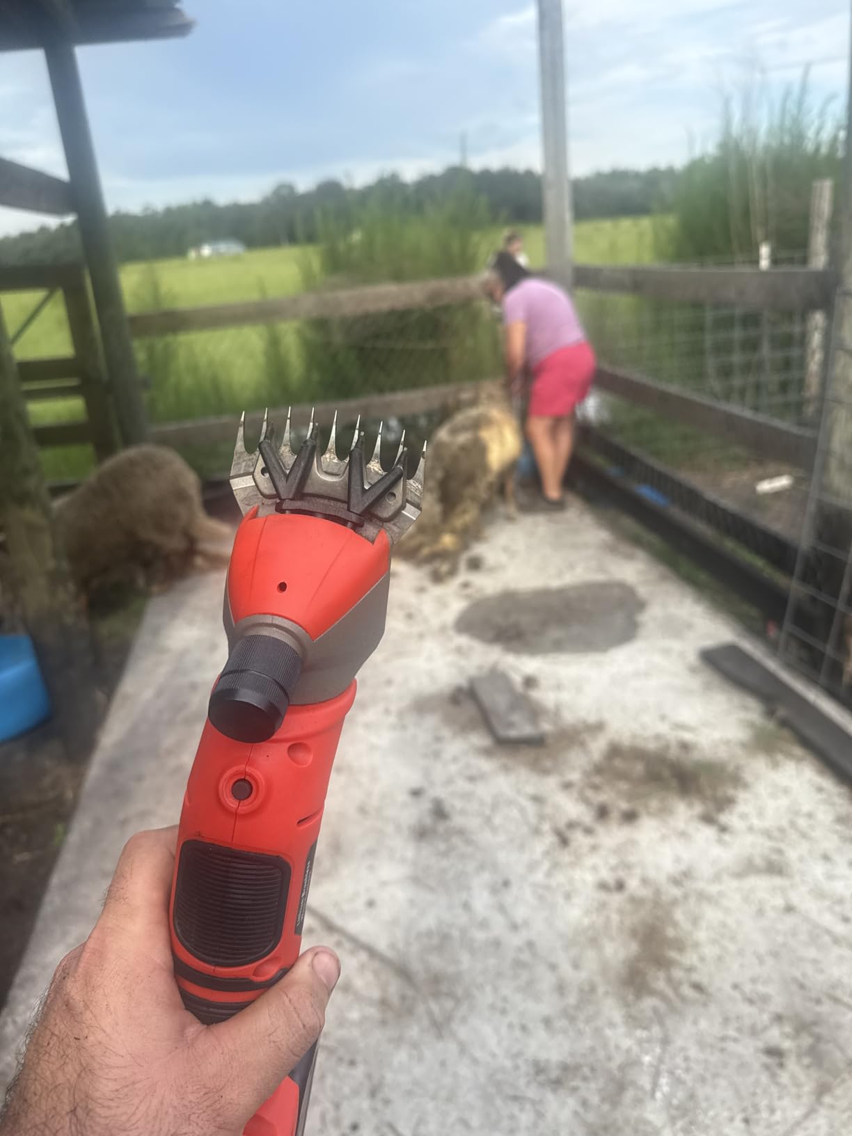 Sheep Shears, 20V Brushless Sheep Clippers, 2x4.0Ah Batteries Sheep Trimmer, Heavy Duty Cordless Shearers for Horse Goat Livestock customer photo 1