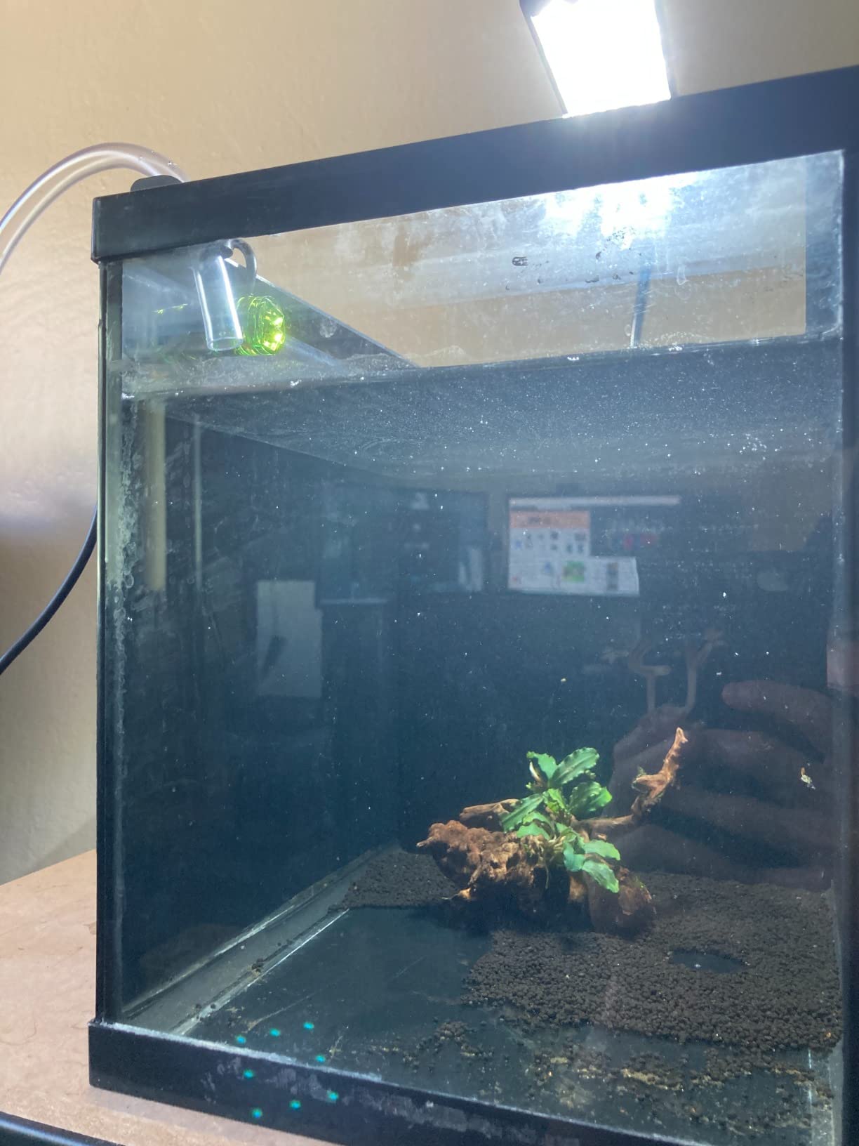 MagTool Auto Top Off System for Saltwater Aquarium, ATO Aquarium Auto Top Off with Dual Optical Sensor for Reef & Fresh Tanks - Blue customer photo 2