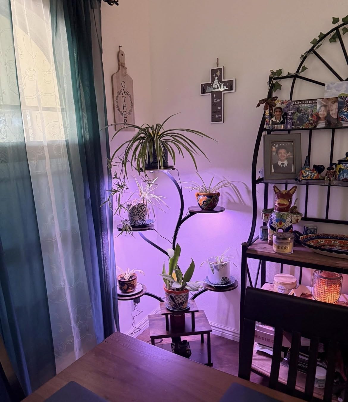 PRAISUN 51 Inch Plant Stand with Grow Lights, 8 Tiered Indoor Plant Shelf with Larger Flower Holder, Curved-tubed Design, 3 Light Modes, Corner Plant Rack for Living Room, Rustic Brown customer photo 2