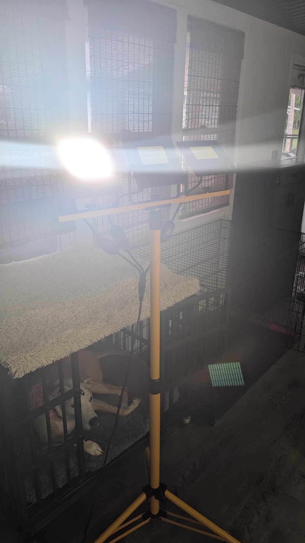 54000 Lumen Work Lights with Stand 3 Adjustable Tripod Work Light Head with 16FT Cord - IP67 Waterproof LED Work Lights on Stand for Outdoor Indoor Job Site Workshop Garage Construction Site Lighting customer photo 1