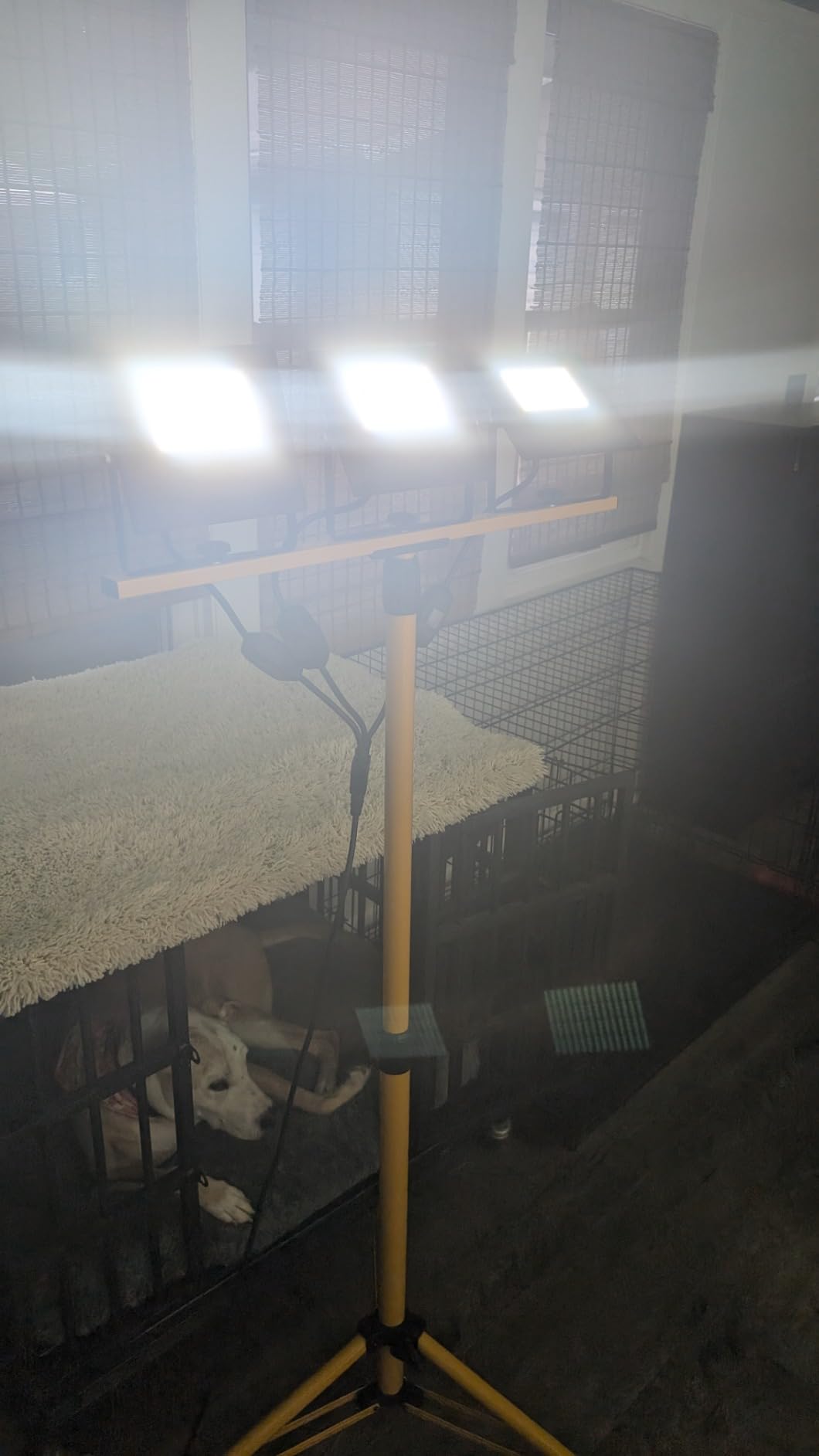 54000 Lumen Work Lights with Stand 3 Adjustable Tripod Work Light Head with 16FT Cord - IP67 Waterproof LED Work Lights on Stand for Outdoor Indoor Job Site Workshop Garage Construction Site Lighting customer photo 2