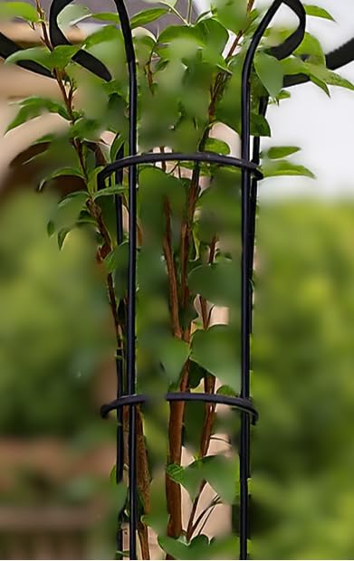 6.89FT Mushroom Top Obelisk Trellis for Outdoor Climbing Plants, Rustproof PE-Coated Metal Poles Support, Decorative Garden Trellis for Climbing Rose, Wisteria, Black customer photo 2