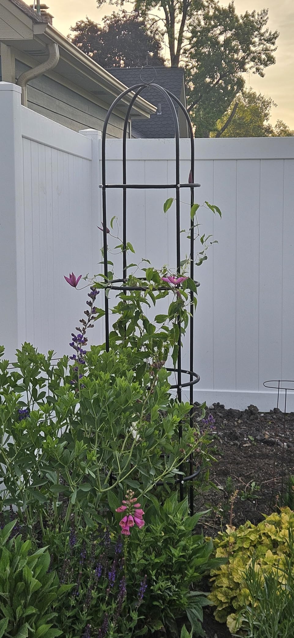 Wellsign 100% Metal Obelisk Trellis for Climbing Plants Outdoor Garden Tower Trellis 6.6ft, Plant Support with Garden Twist Tie for Tomato Cucumber Ivy Vines Rose Potted Plant Trellis Indoor 2 Pack customer photo 2