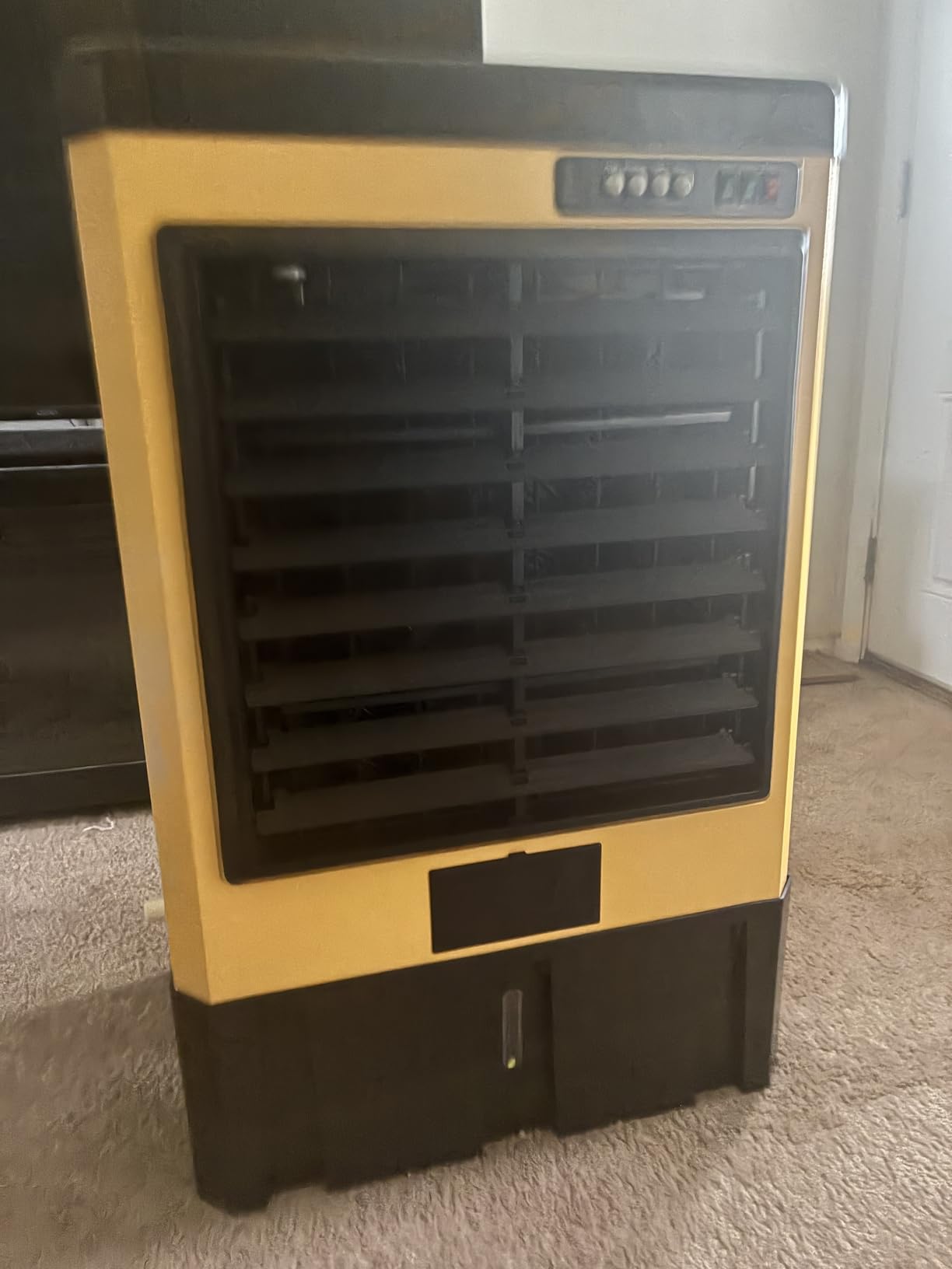 AKIRES 6500CFM Swamp Coolers,Portable Evaporative Air Cooler for 1600 Sq.ft of Space,with Continuous Auto Fill,19-Gal Water Tank,120°Oscillation,5 Ice Packs,Cooling Fan for Outdoor,Indoor Use(48IN) customer photo 2