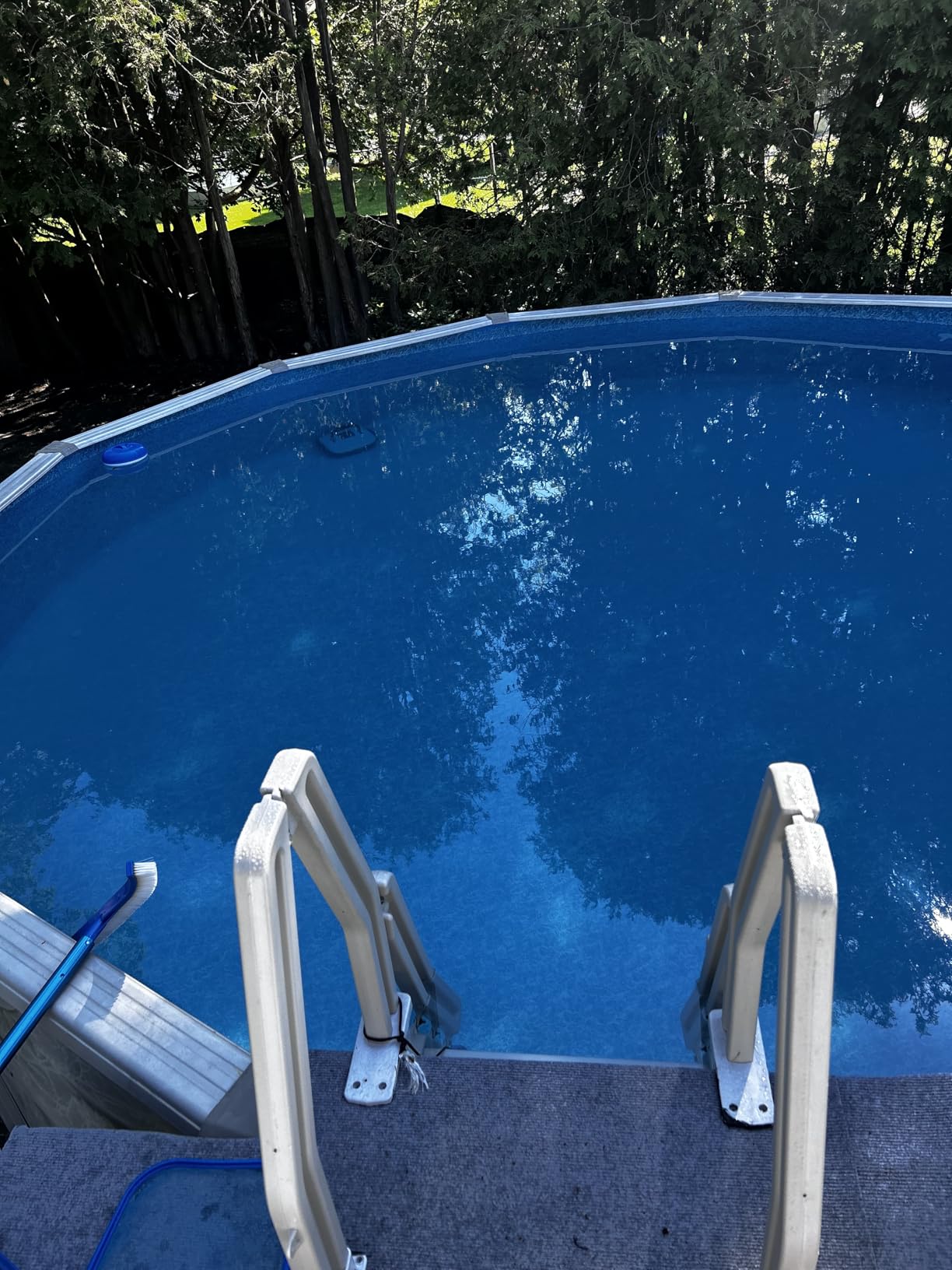 VEVOR FlashPure Sand Filter Pump, 14 in for Above Ground Pool, 0.75 HP 3500 GPH, Swimming Pool Filter System with Timer, 6X Faster Filtration, Media Installed, Leak-Resistant, Ready to Use Out of Box customer photo 1